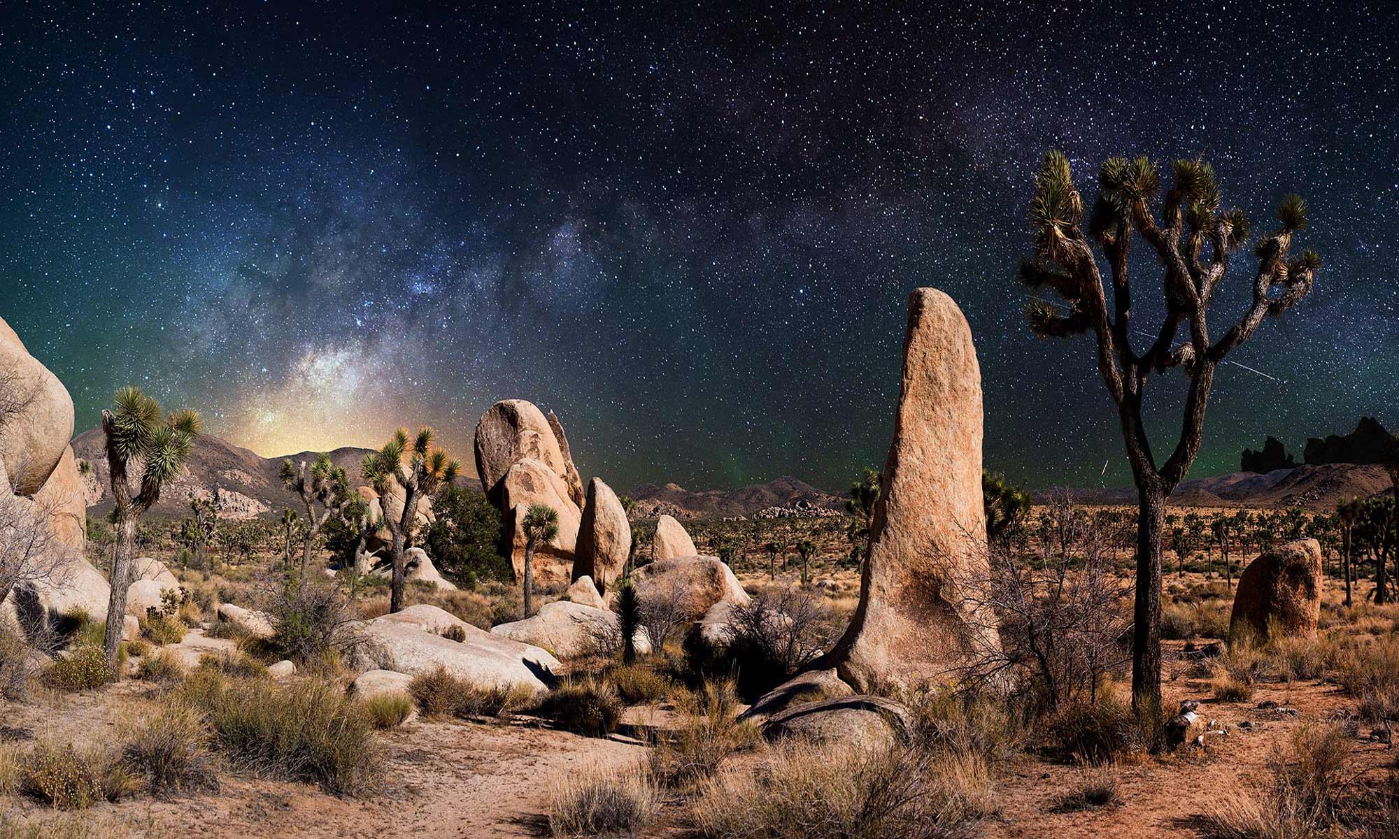 landscape desert night star sky plants grass stone