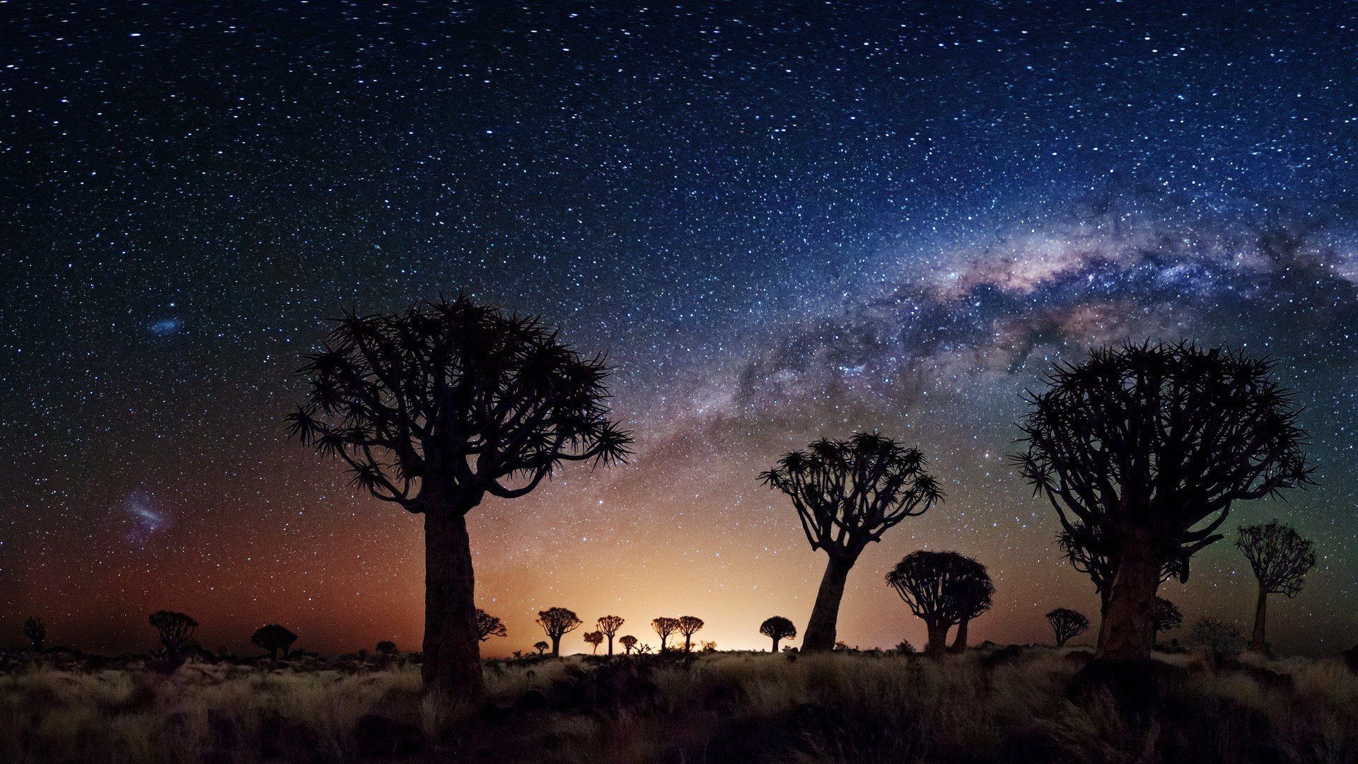 nacht sterne joshua tree