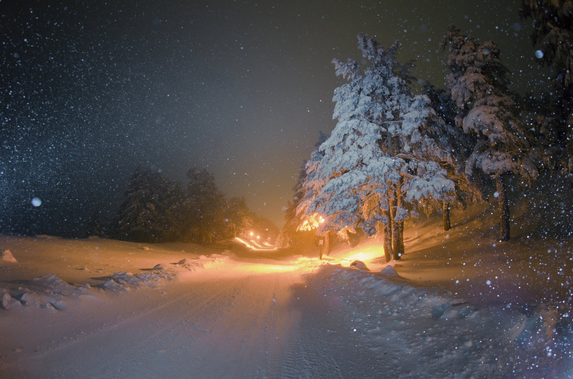 invierno nieve árboles de navidad carretera noche linternas iluminación nevadas