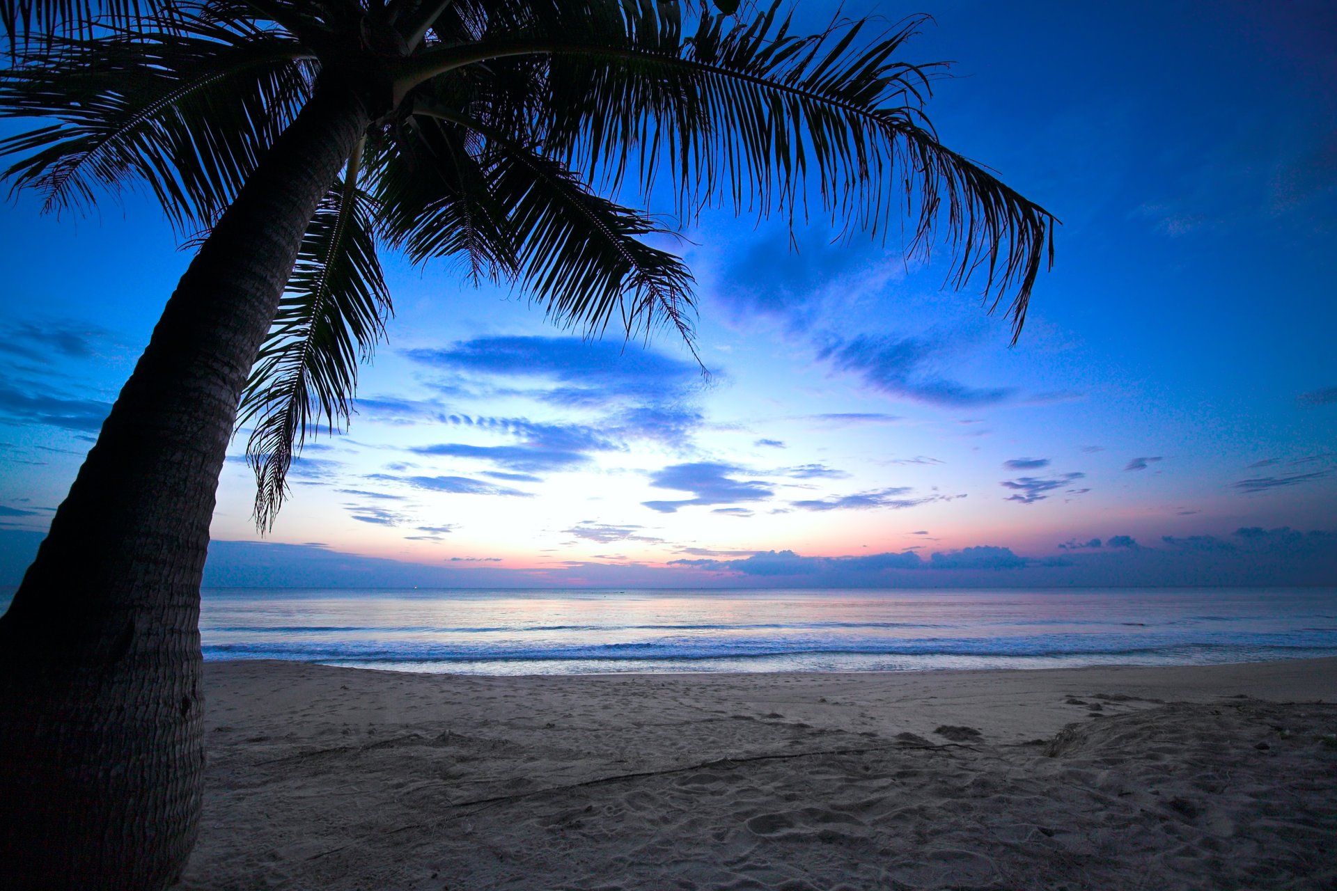 tropischer sonnenuntergang weinende palme bewölkter himmel karibik ozean meer dämmerung strand küste natur landschaft schöne szene weinende palme karibik sonne