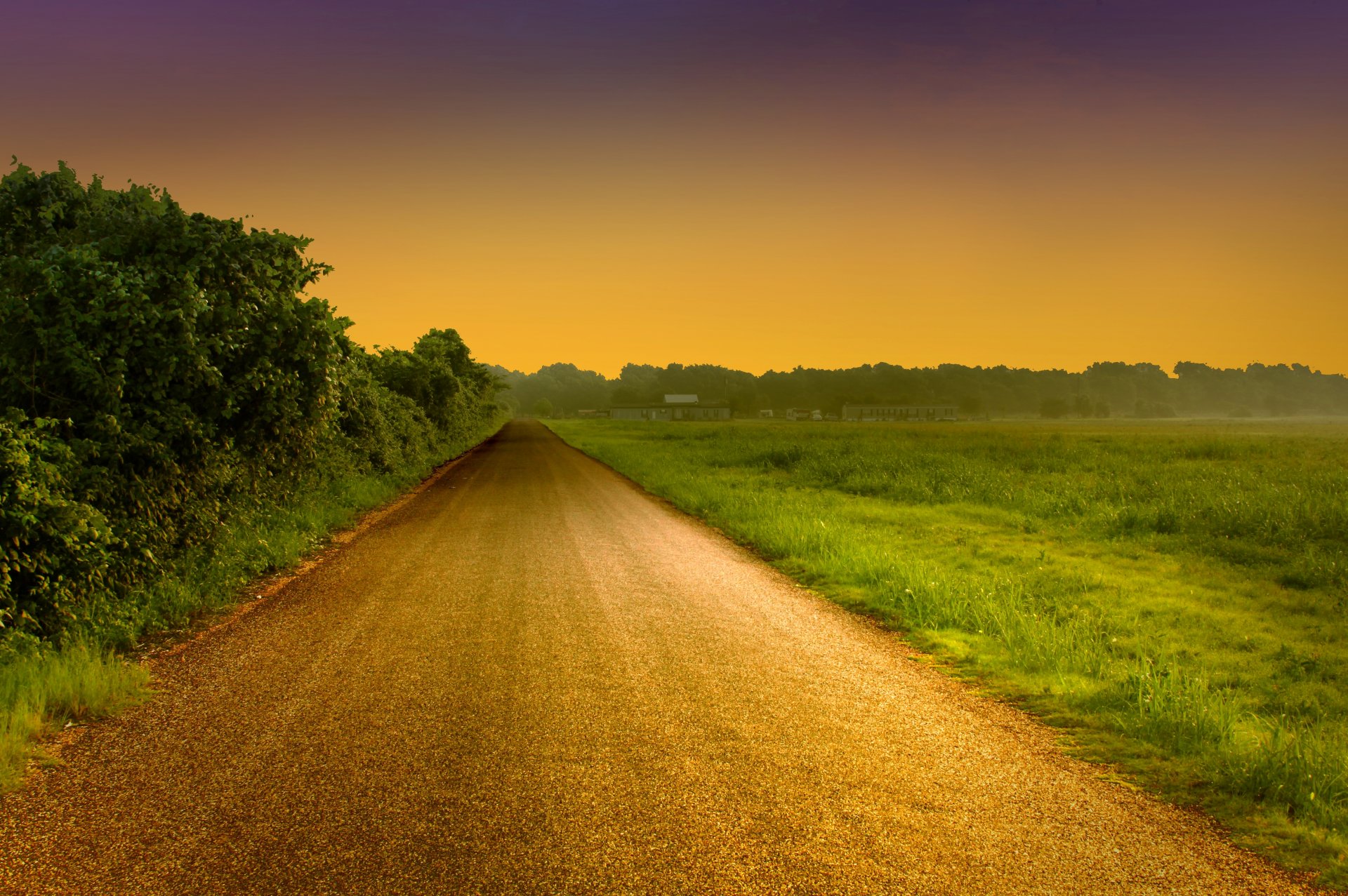 landscape nature grass greenery leaves foliage tree trees road path path evening sky background wallpaper widescreen fullscreen widescreen widescreen