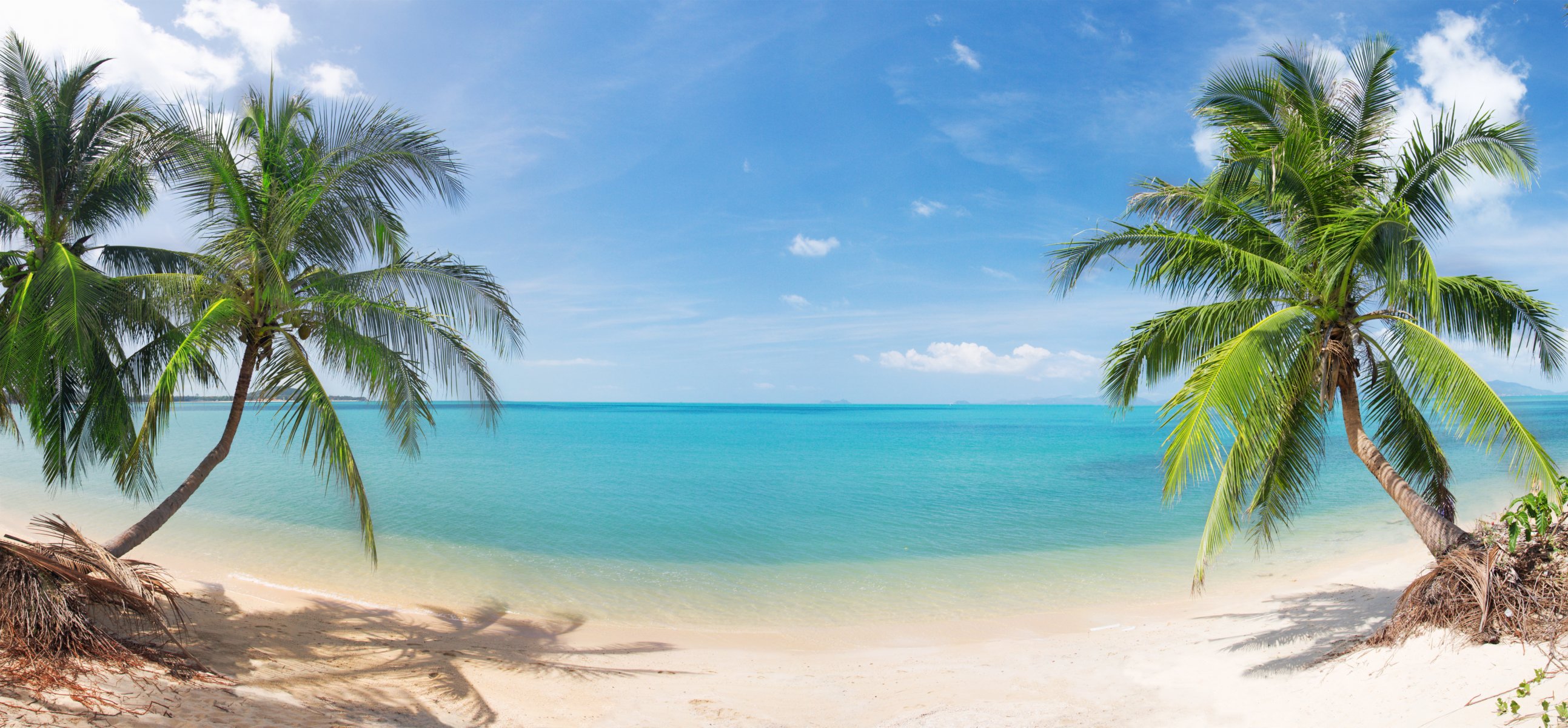 cocoteros naturaleza paisaje mar arena cielo nubes tropical beach hermosa cocoteros playa tropical panorama