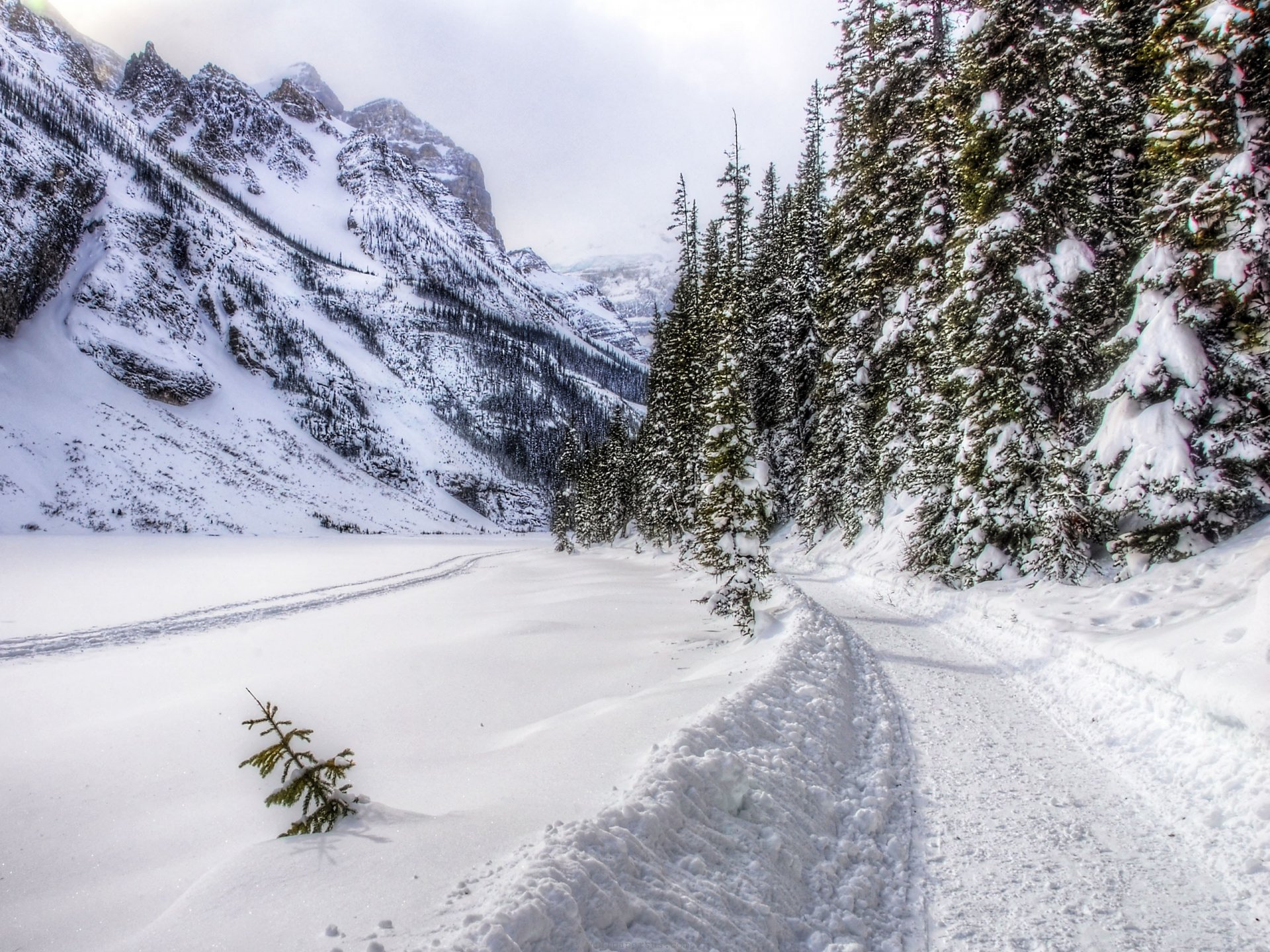 día de invierno nieve bosque montaña carretera invierno paisaje naturaleza árboles