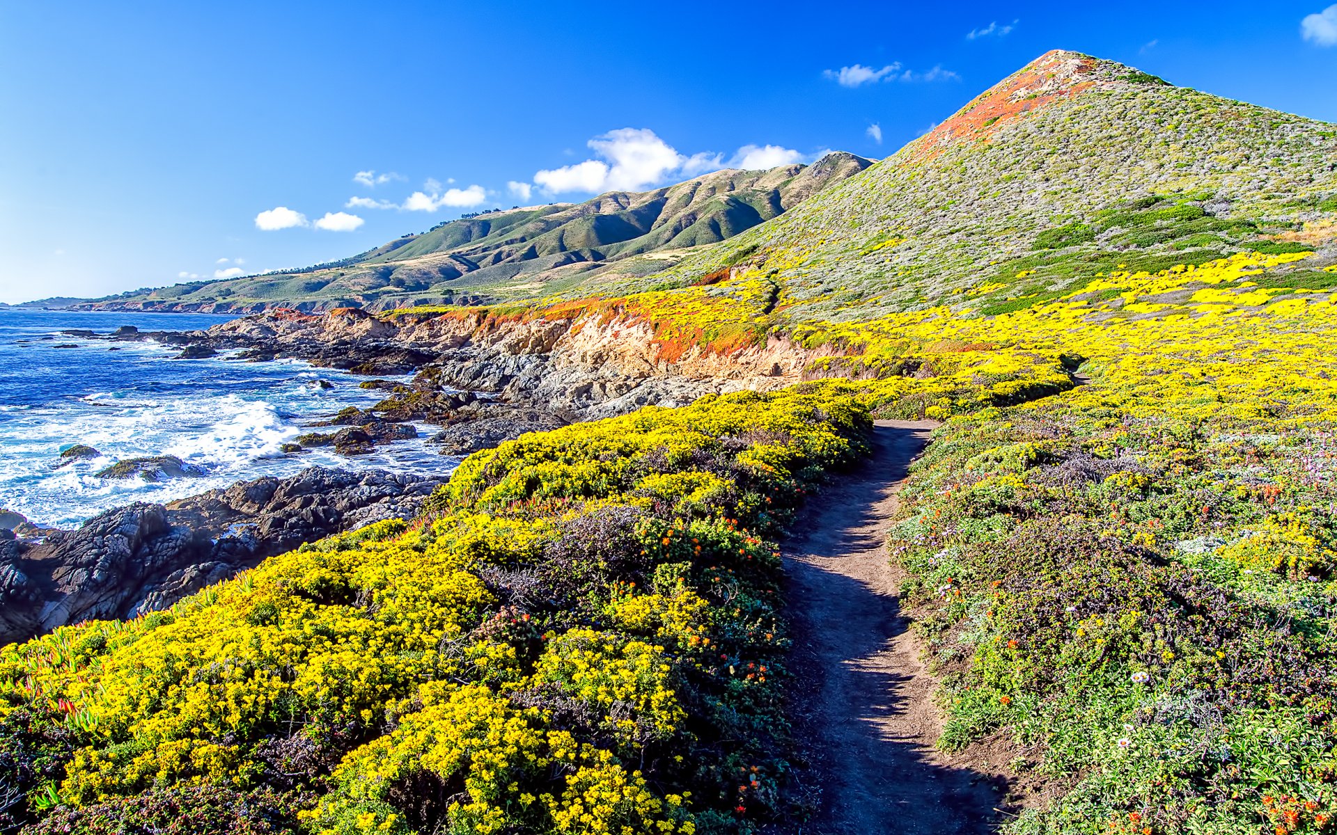 océano pacífico costa colinas sendero naturaleza