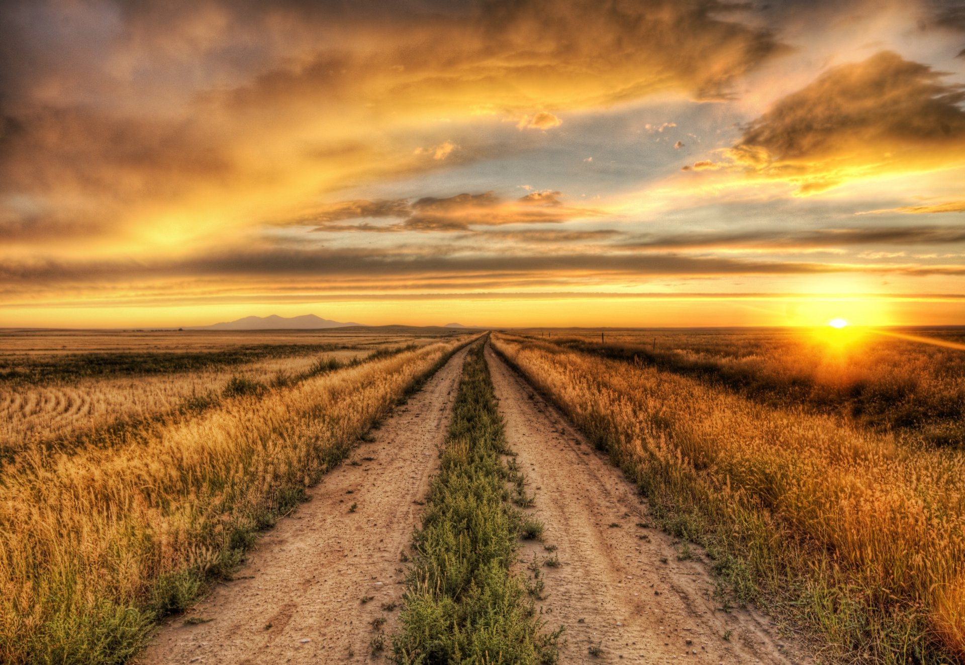 landscape nature plant track path sun horizon clouds sky background wallpaper widescreen full screen hd wallpapers fullscreen