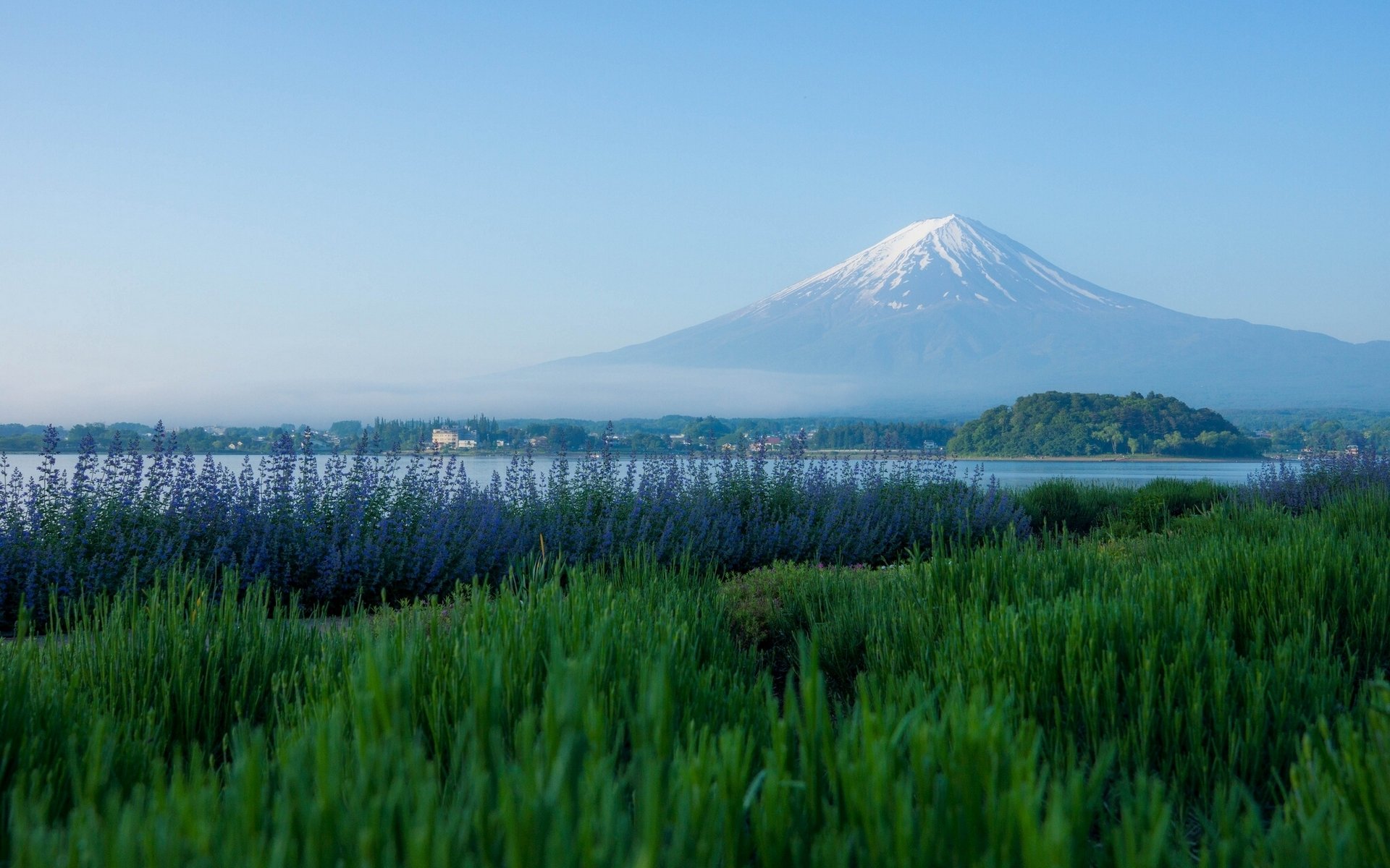 góra fuji jezioro kawaguchi japonia fujiyama fuji wulkan góra lawenda łąka