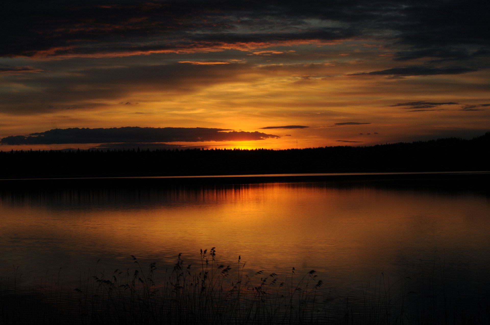 forest lake sunset twilight