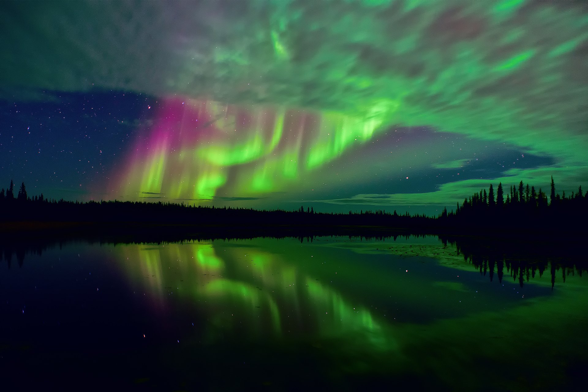 northern canada arctic tundra northern lights sky star night lake forest reflection extract