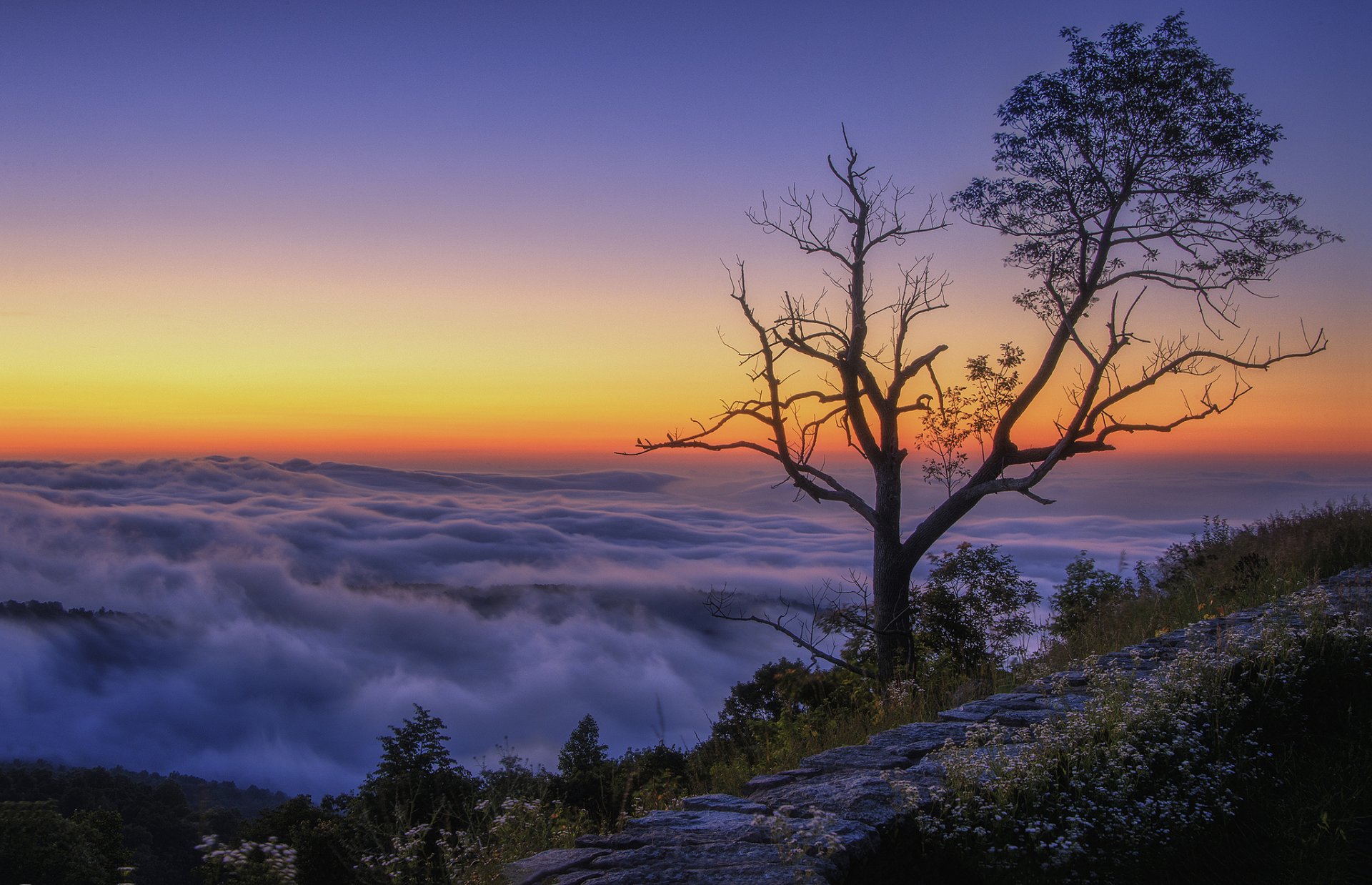 montañas cima árbol nubes mañana amanecer