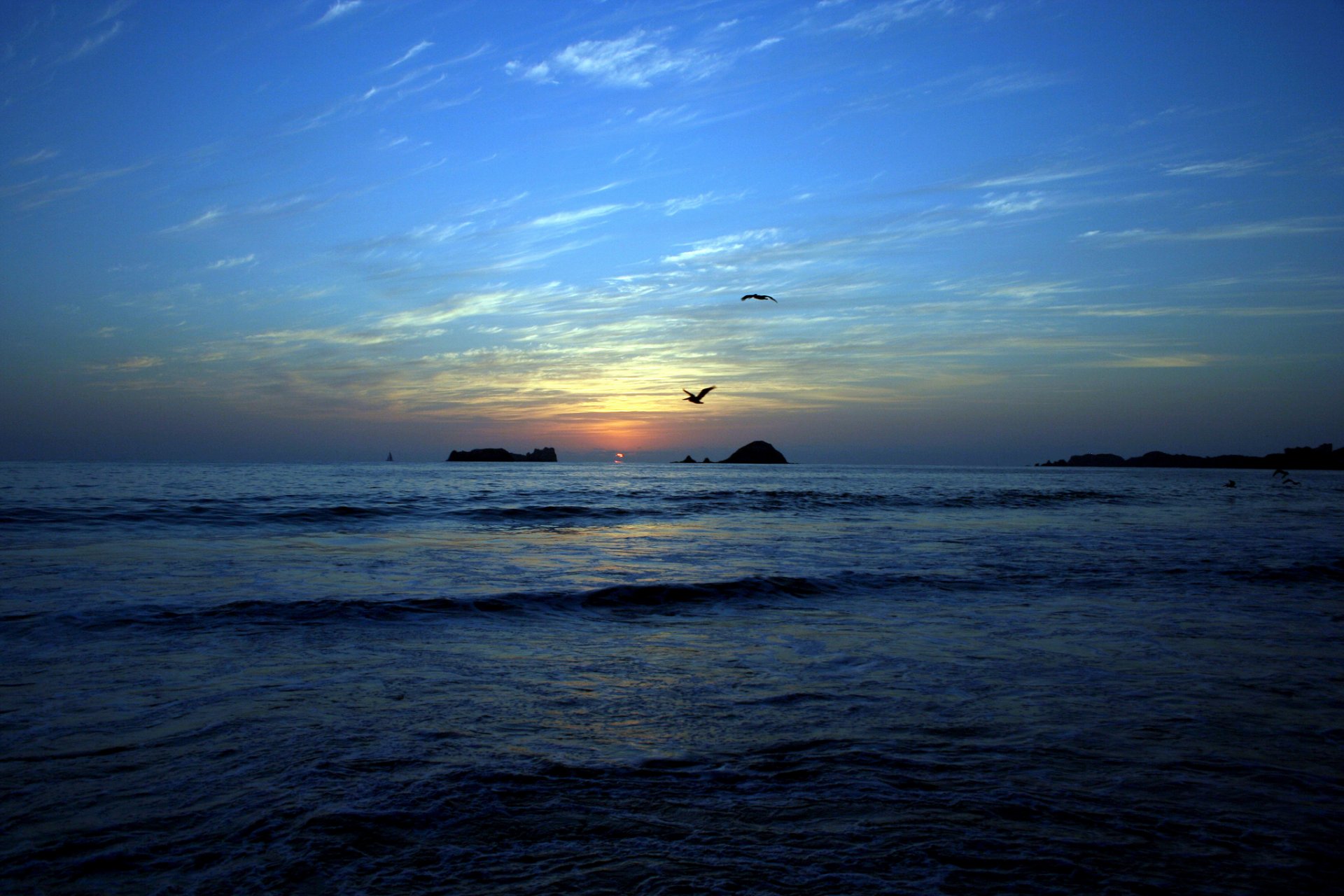 meer strand inseln vögel sonnenuntergang