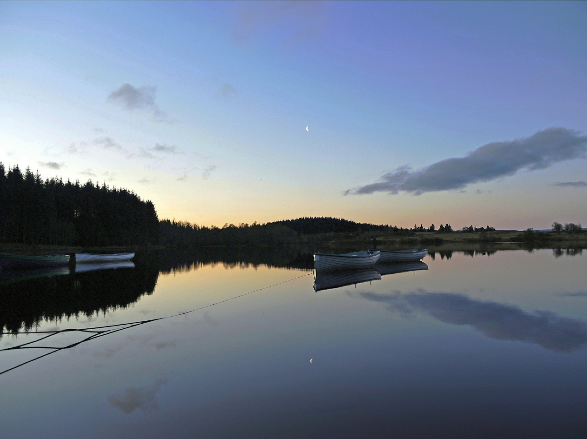 forest lake boat morning dawn