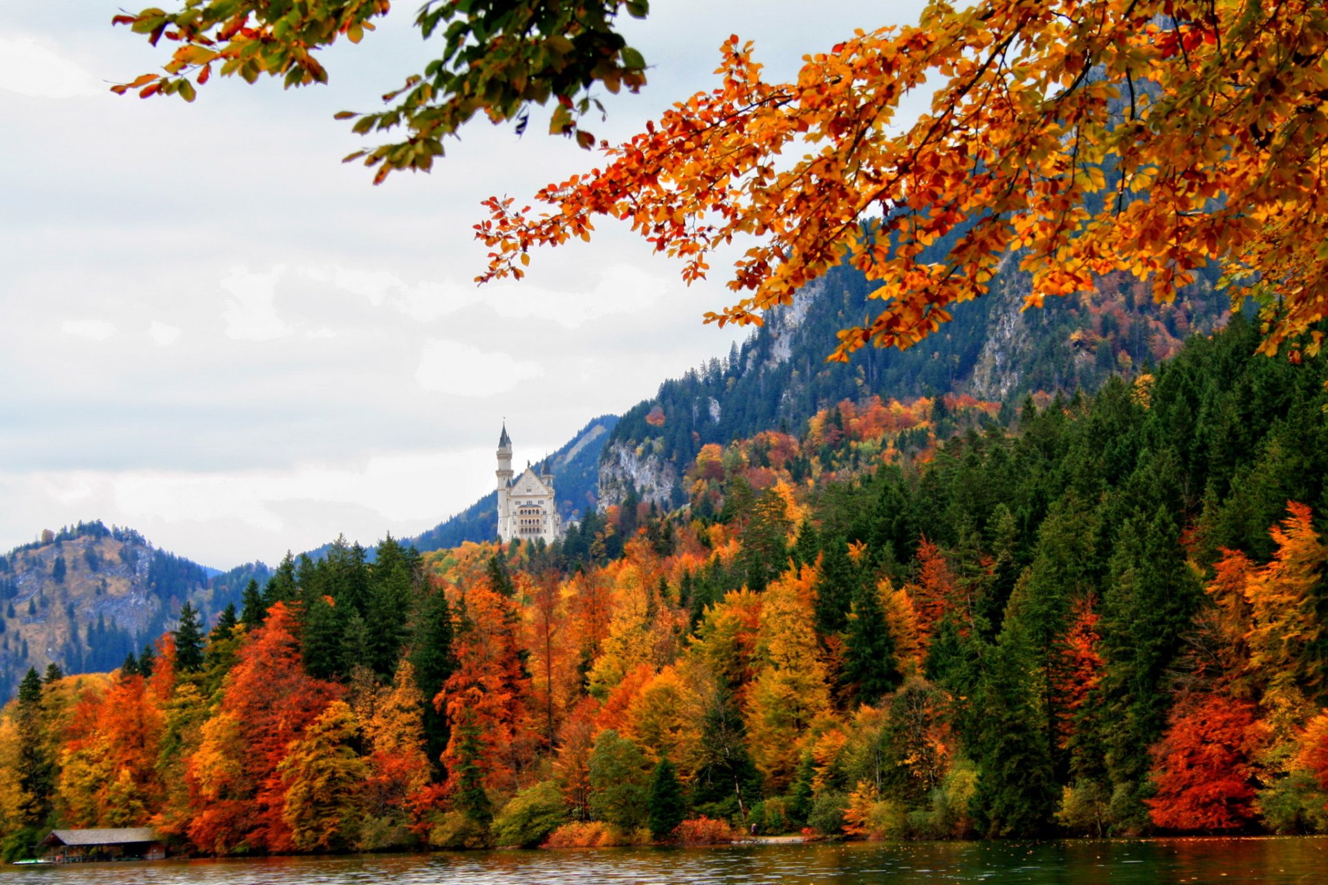 niemcy schwangau bawaria natura jesień las zamek rzeka drzewa