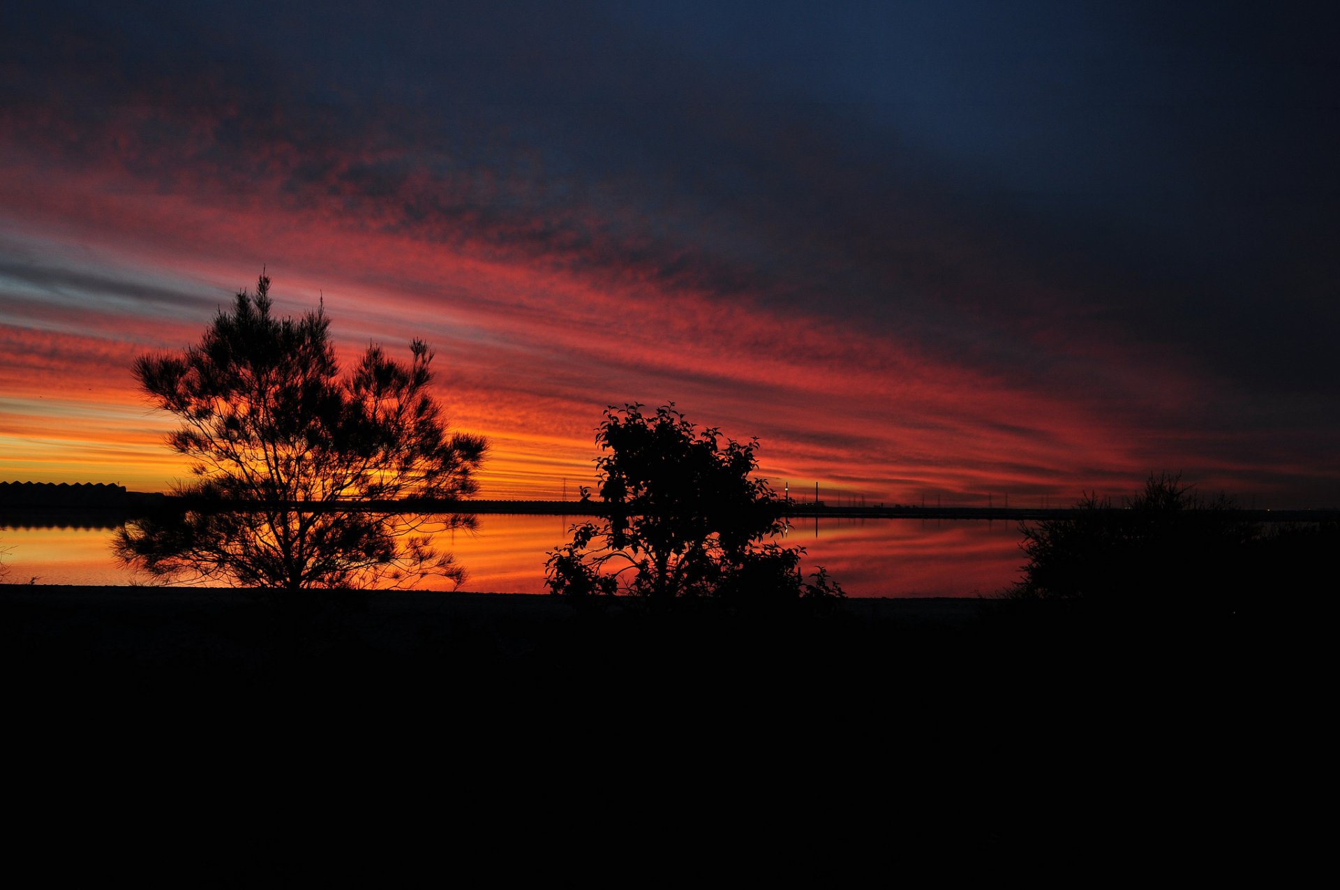 lake tree silhouettes sunset twilight