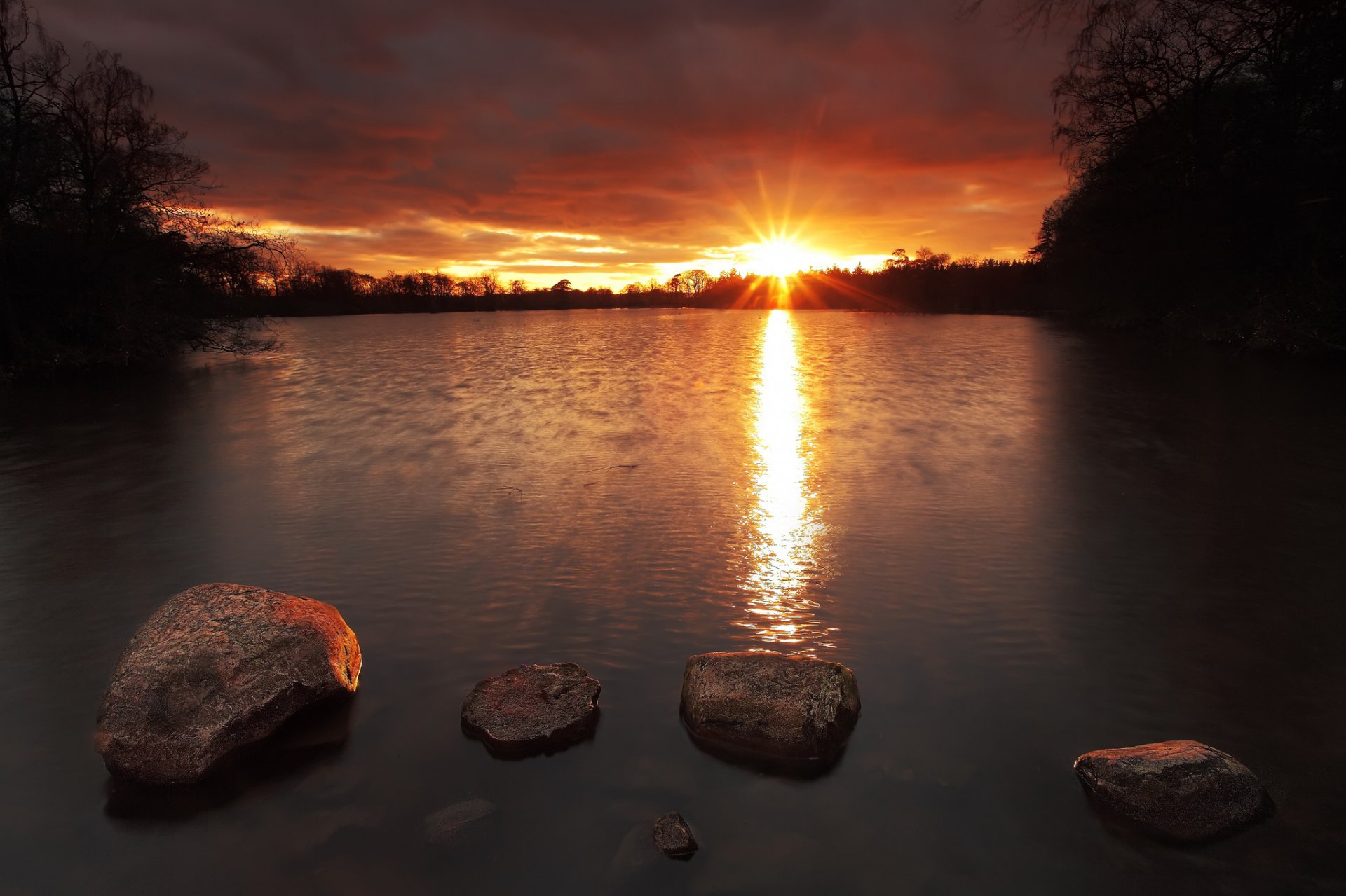 foresta lago pietre mattina alba