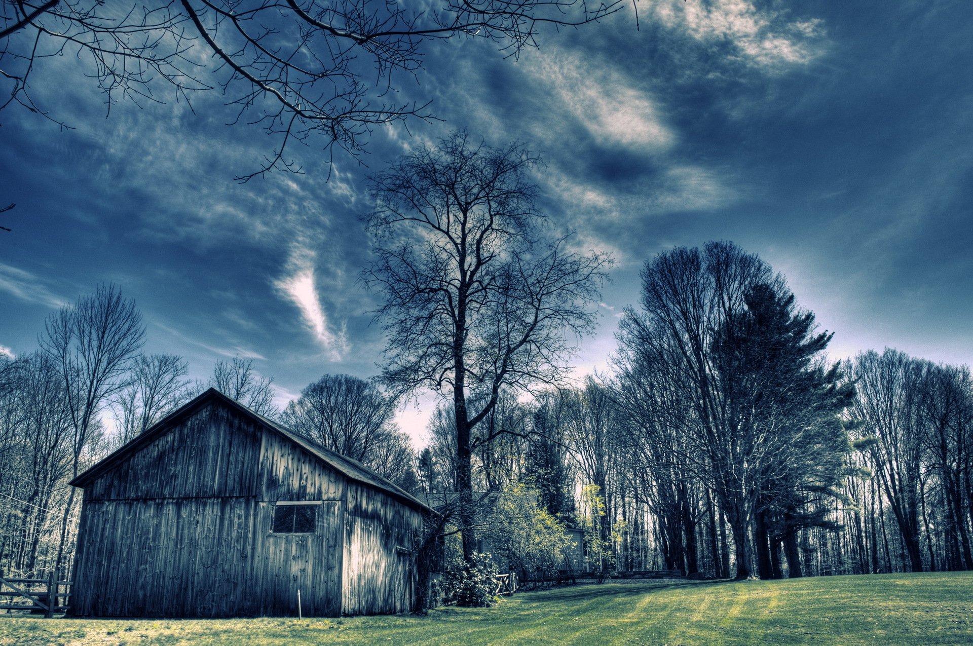 the field house tree flowers landscape