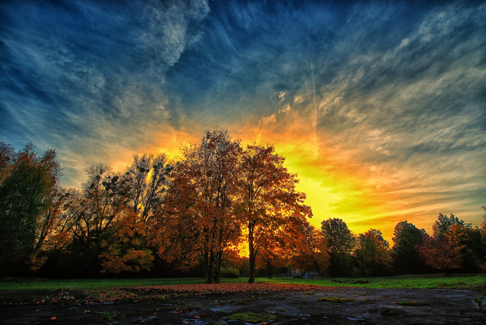 parque otoño tarde puesta de sol