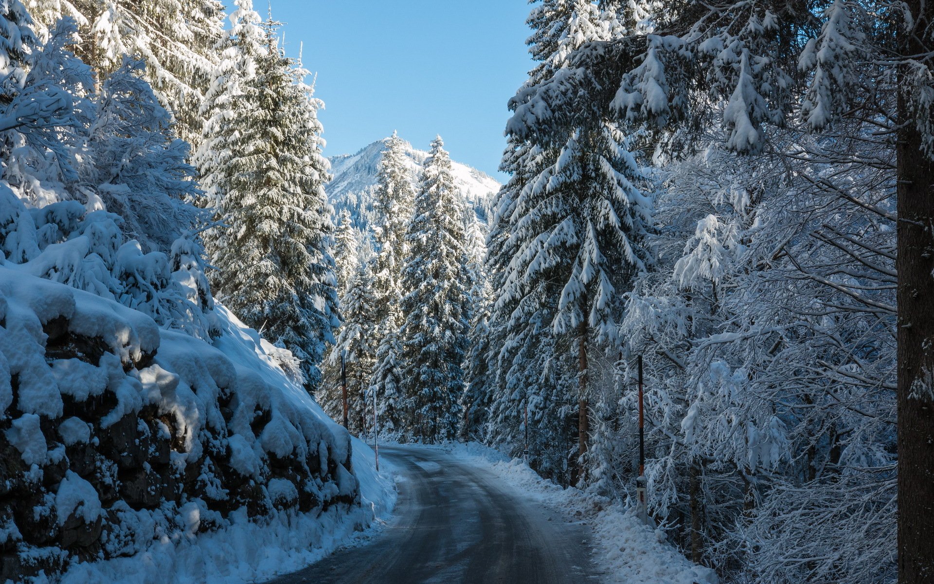 carretera montaña bosque invierno