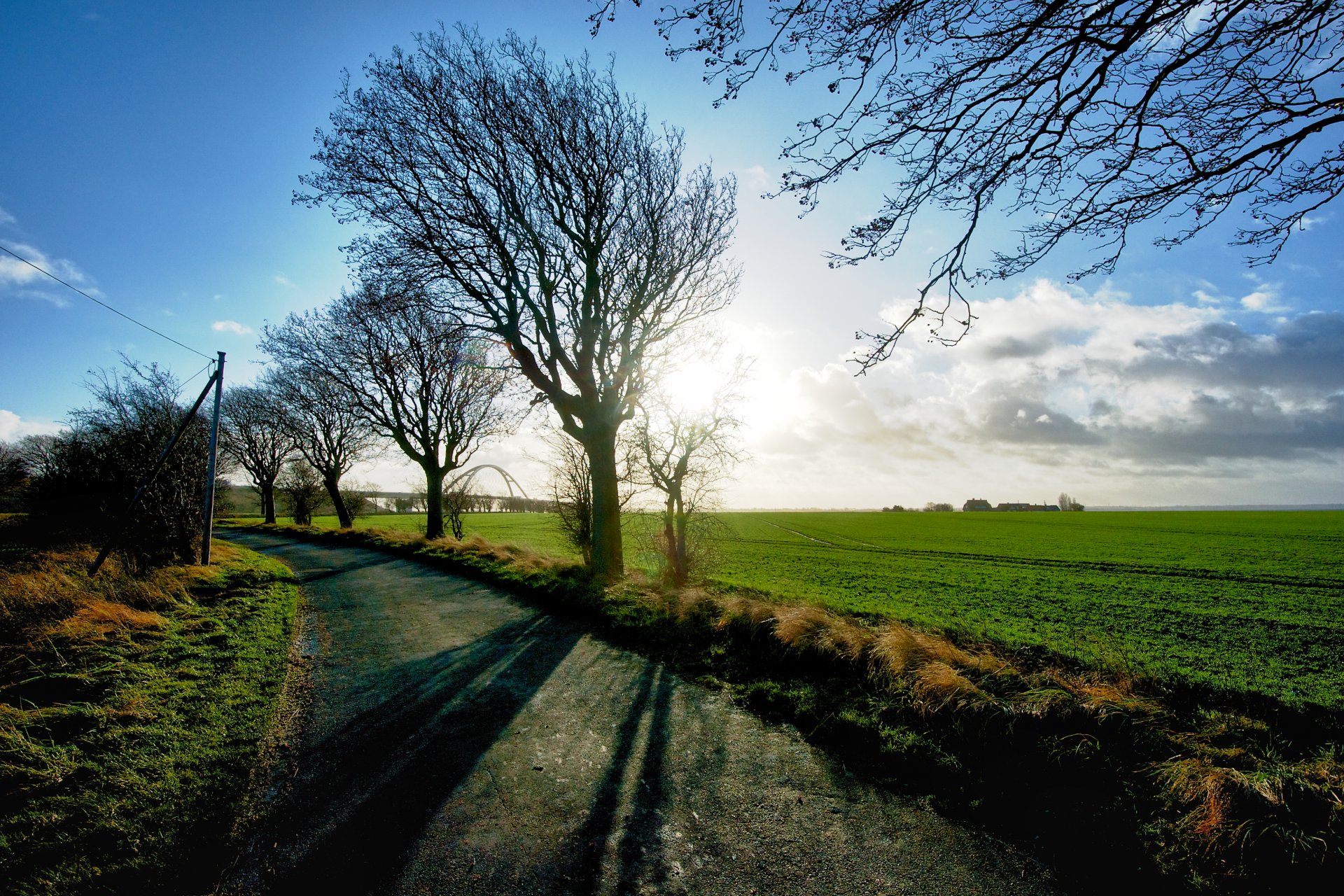 paesaggio natura alberi albero verde prato erba campo verde rami sentiero sentiero ombra sole cielo sfondo carta da parati widescreen schermo intero widescreen widescreen