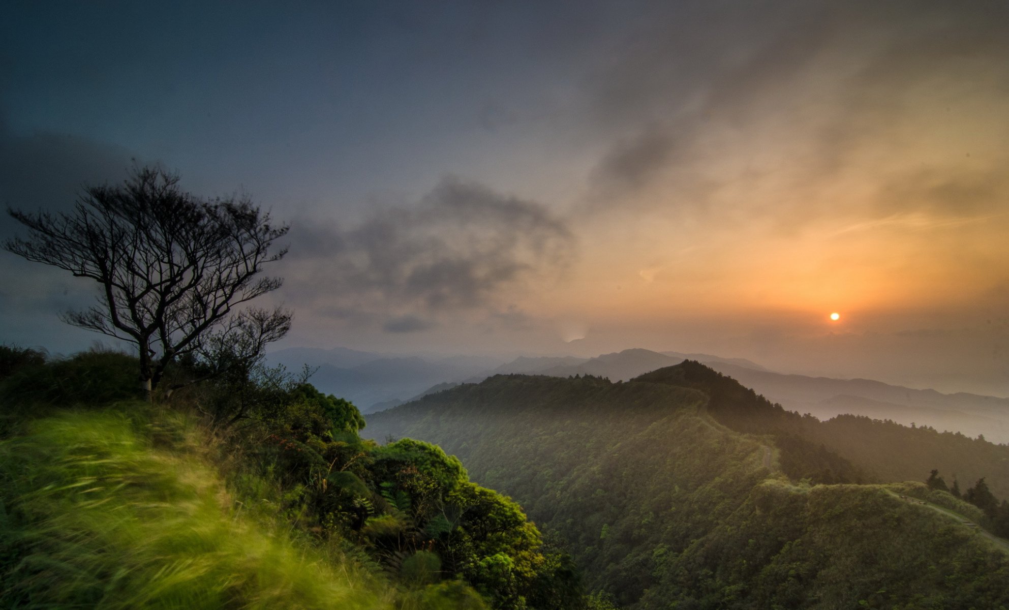 mountain forest tree sun clouds dawn