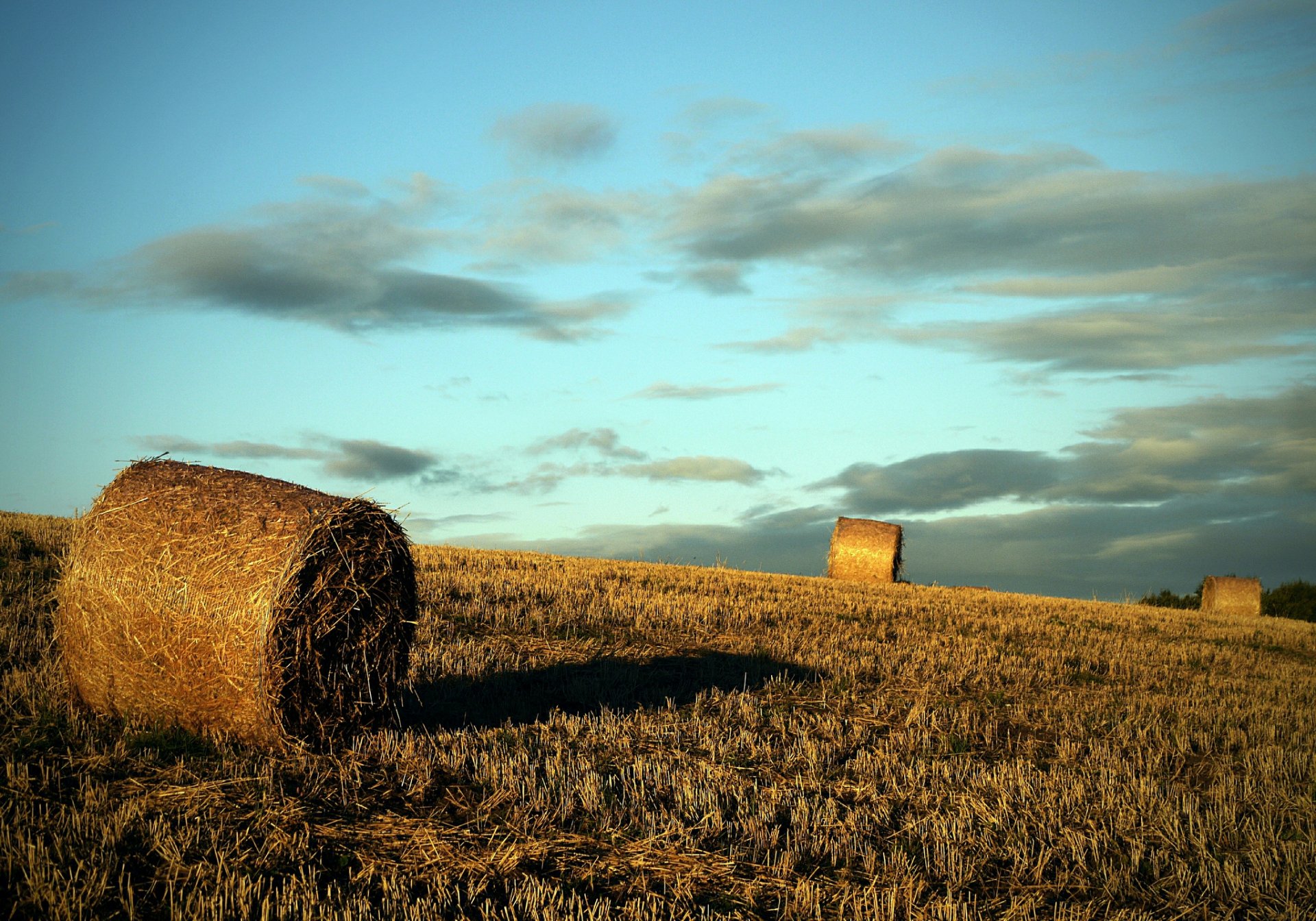 feld ernte rollen abend