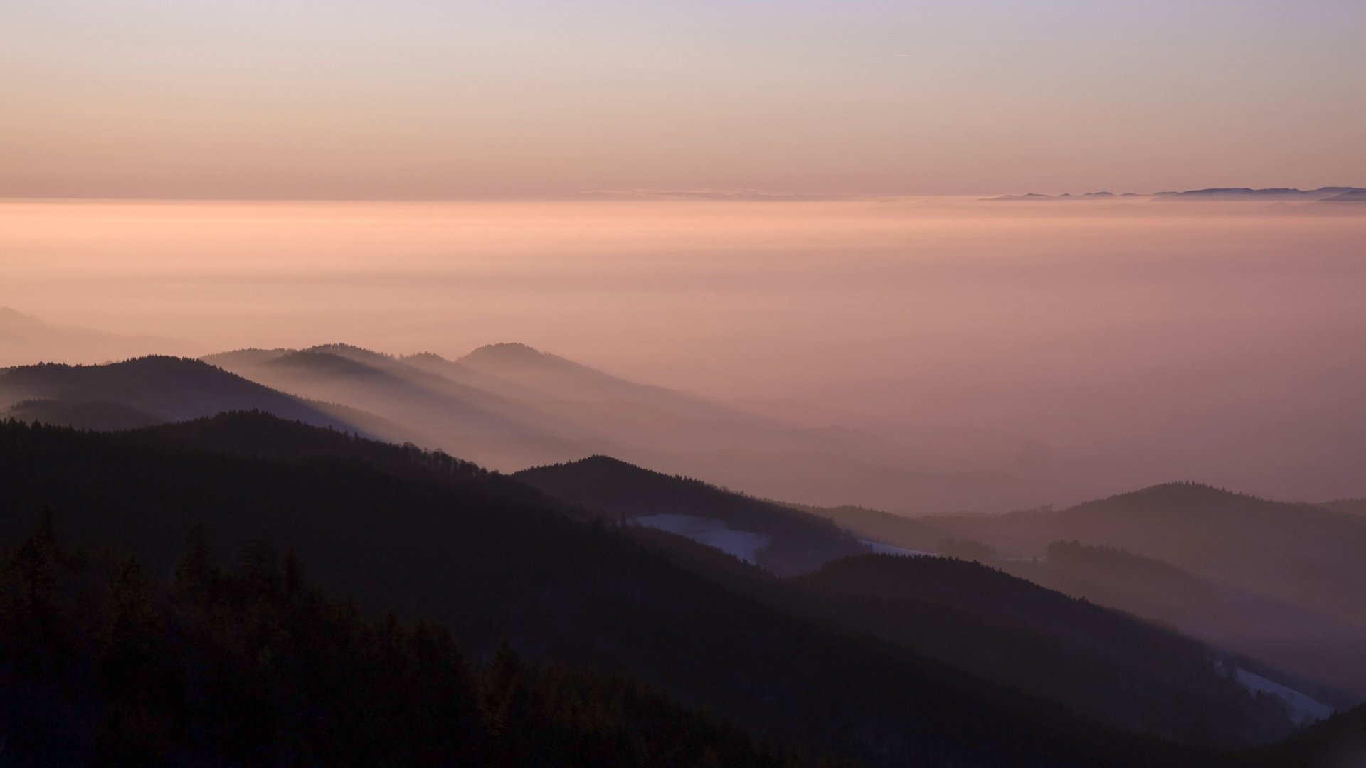 montagne foresta nebbia cielo