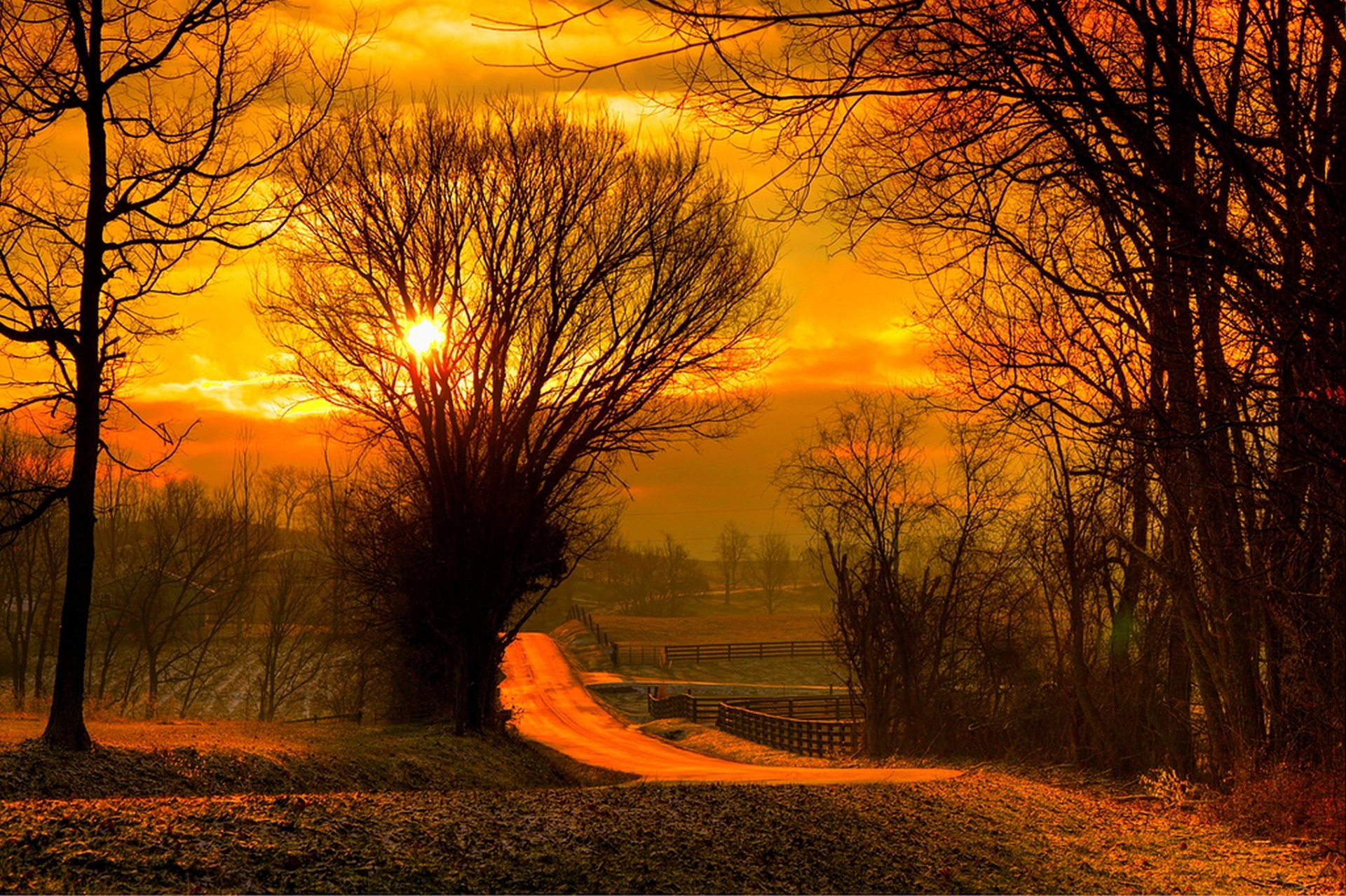 nature sun sky sunset forest field trees leaves colorful road autumn fall colors walk sunrise