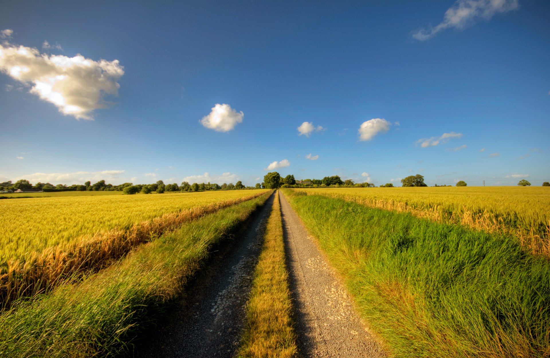 road the way sunny day clouds sky the distance grass grain summer