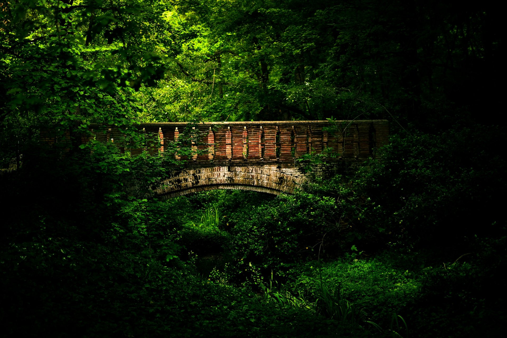 madrid park tree green summer bridge