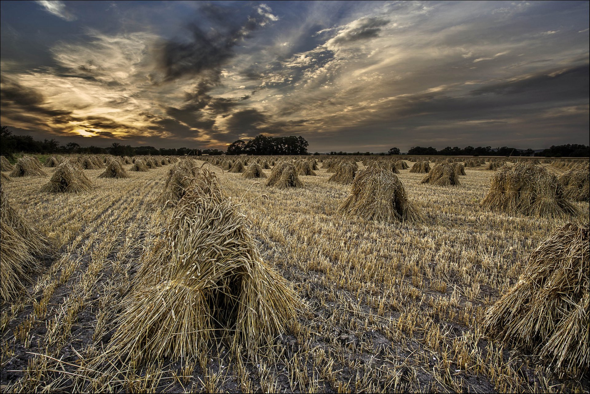 campo raccolta covoni sera crepuscolo