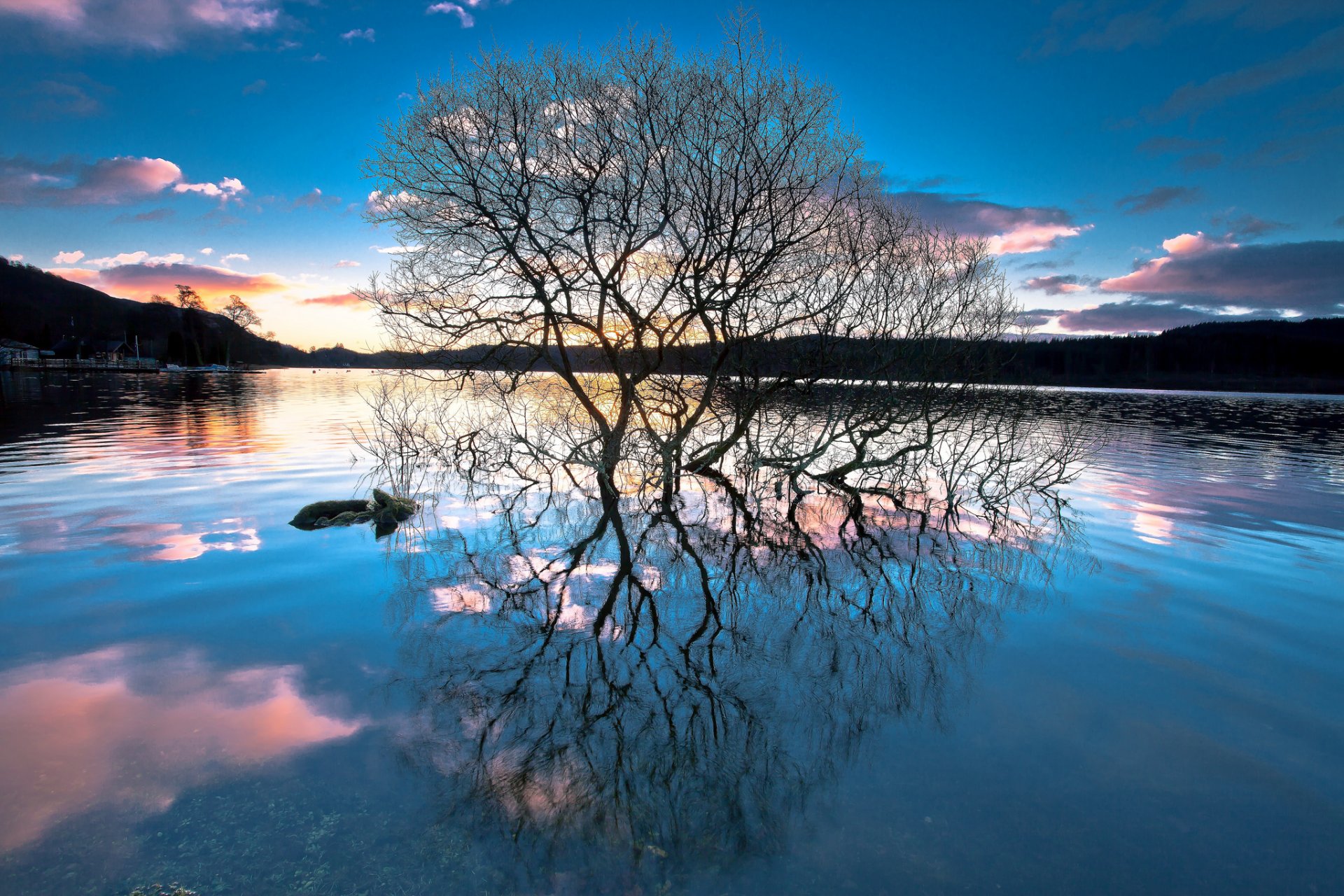 forêt lac arbres réflexion coucher de soleil