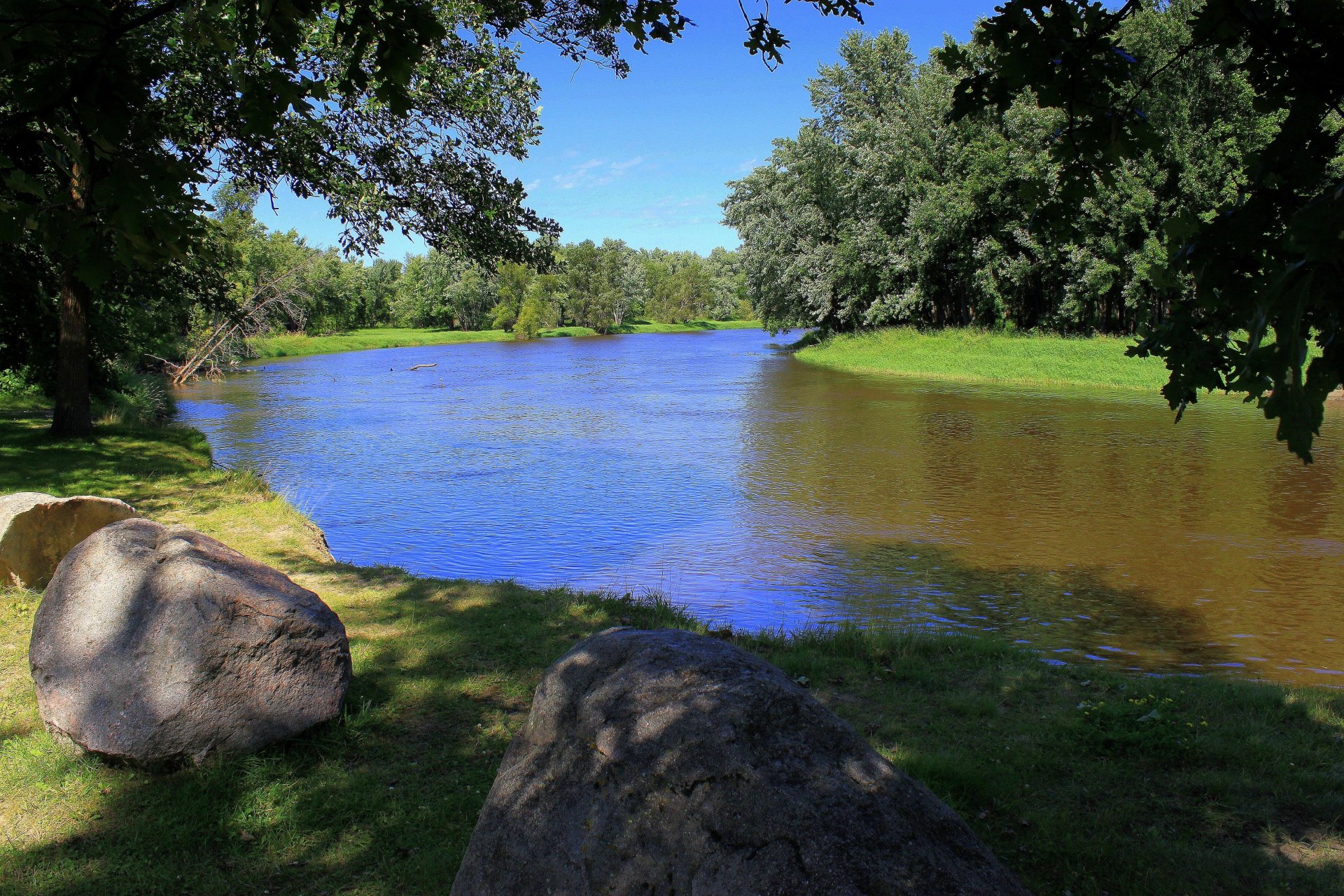 deto rivière côte pierres forêt arbres feuillage