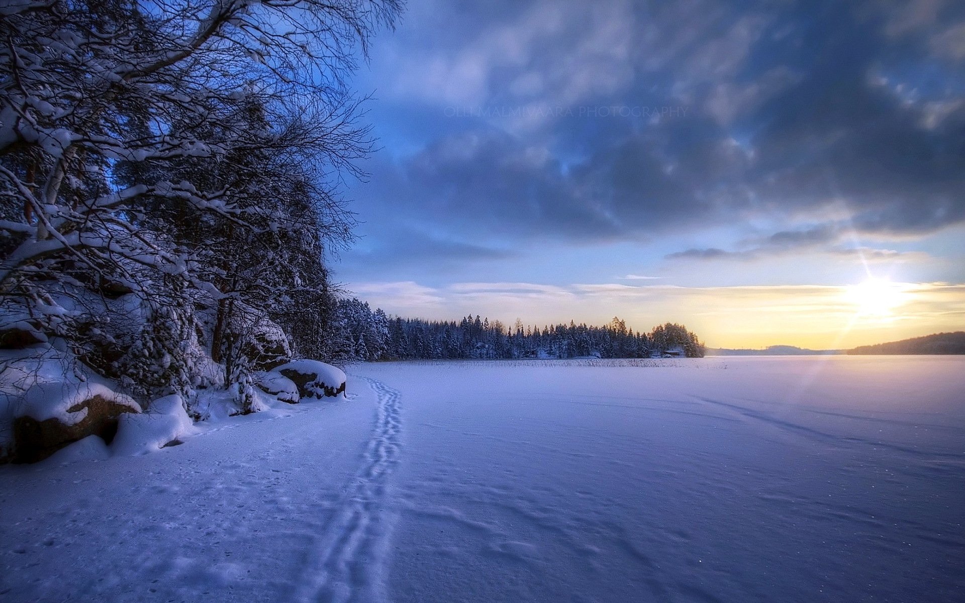 campo invierno nieve paisaje