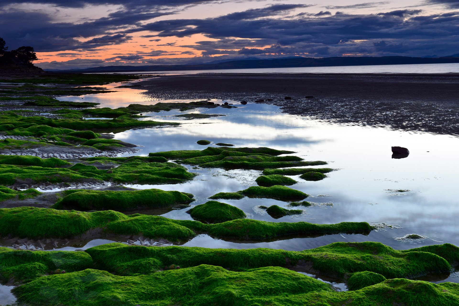 mer plage algues coucher de soleil