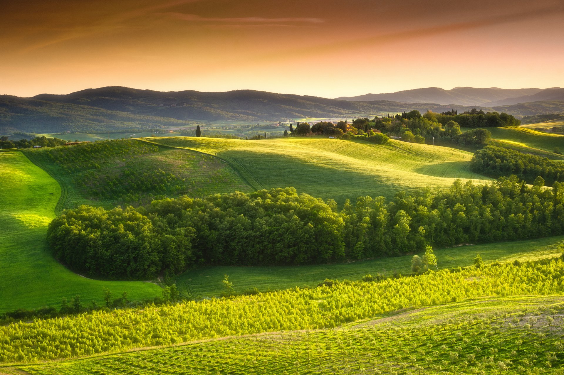 italien toskana auf dem land landschaft natur bäume grünes feld himmel landschaft grüne felder