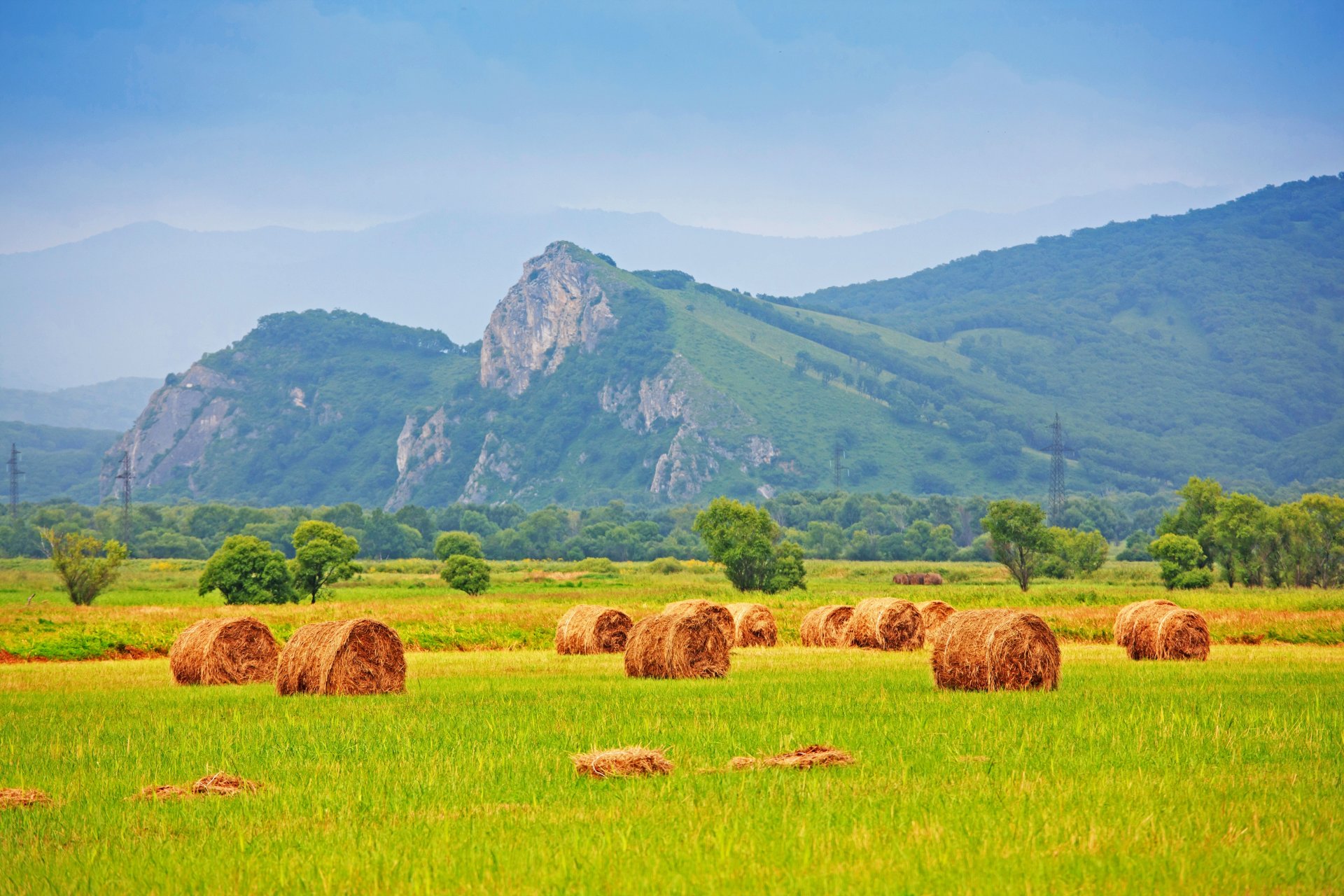 campo fieno pagliaio paglia erba alberi montagne natura