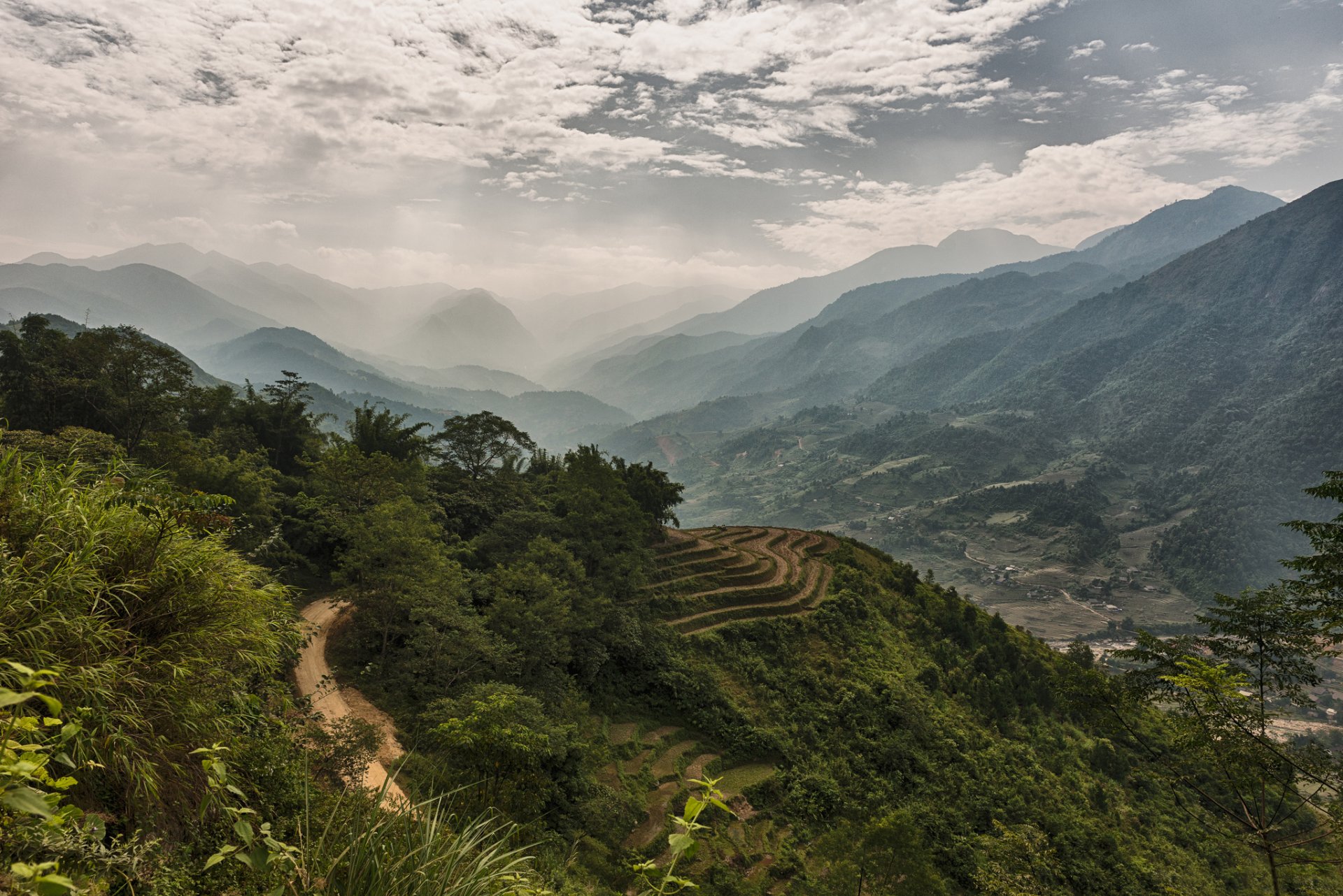 vietnam berge wald tal nebel