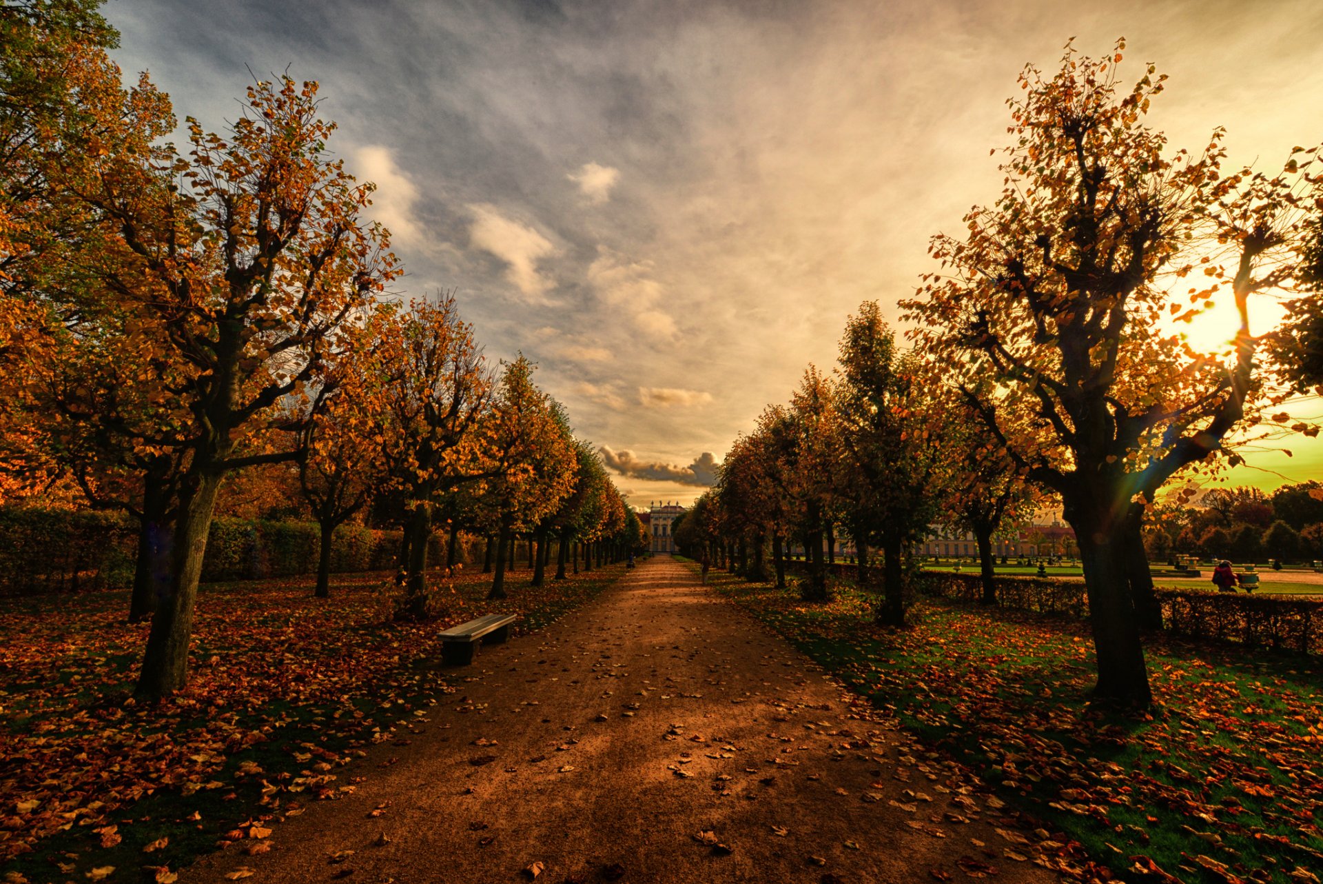 parc allée banc automne soirée