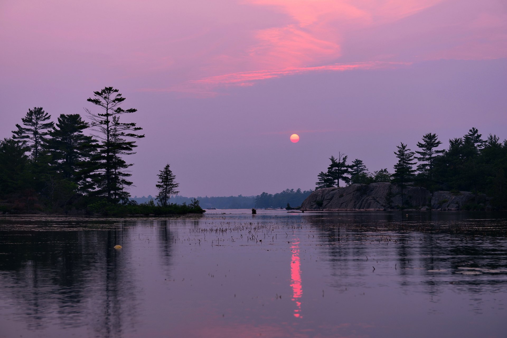 forest lake night twilight clouds sunset