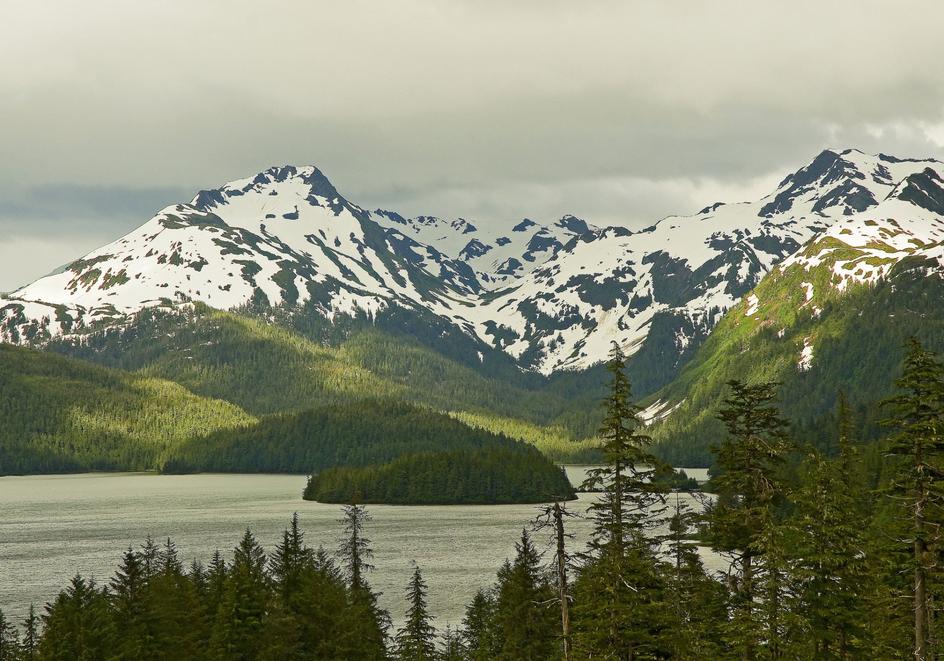 montañas bosque lago isla