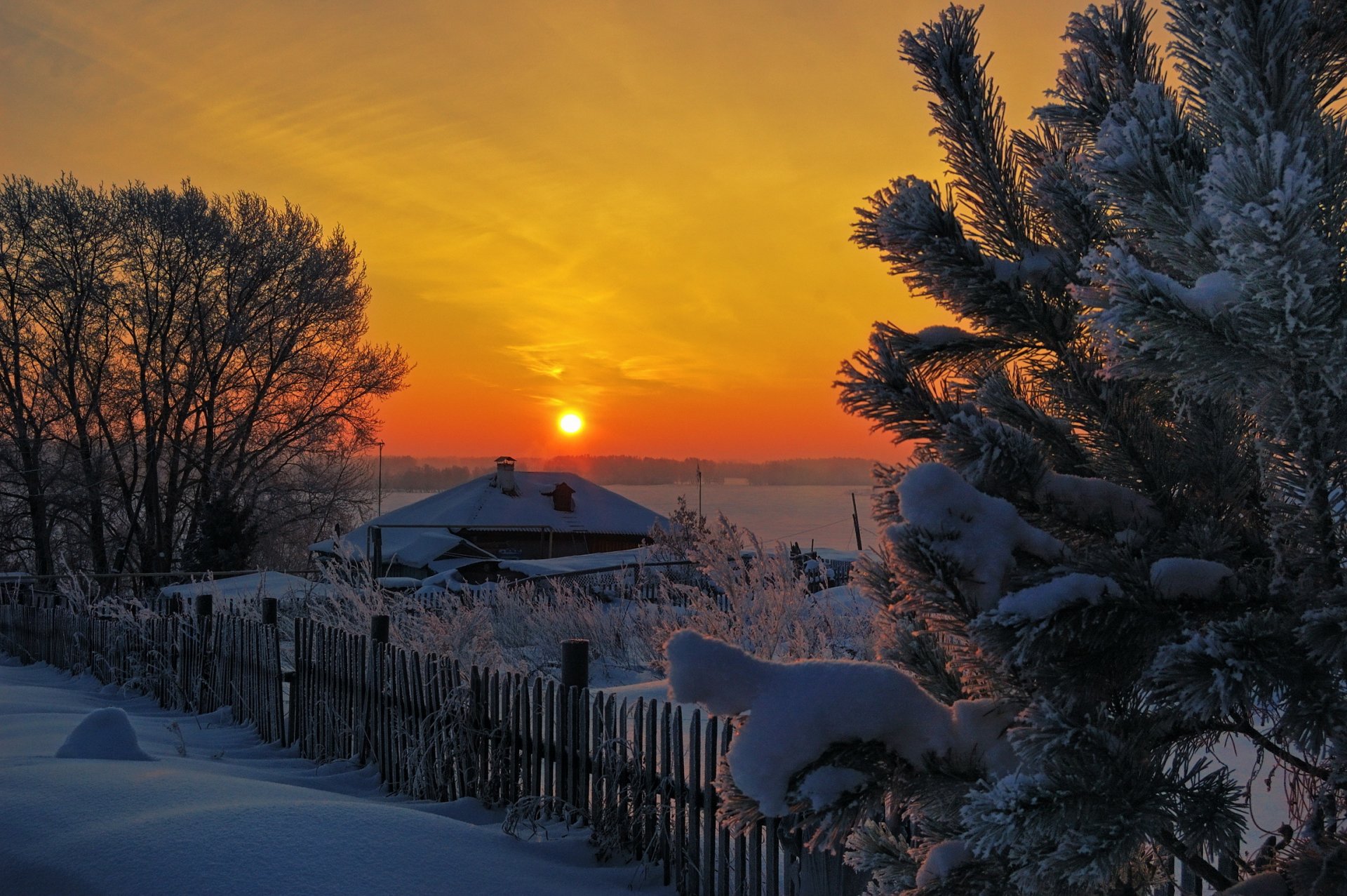 inverno neve alberi casa recinzione tramonto sole