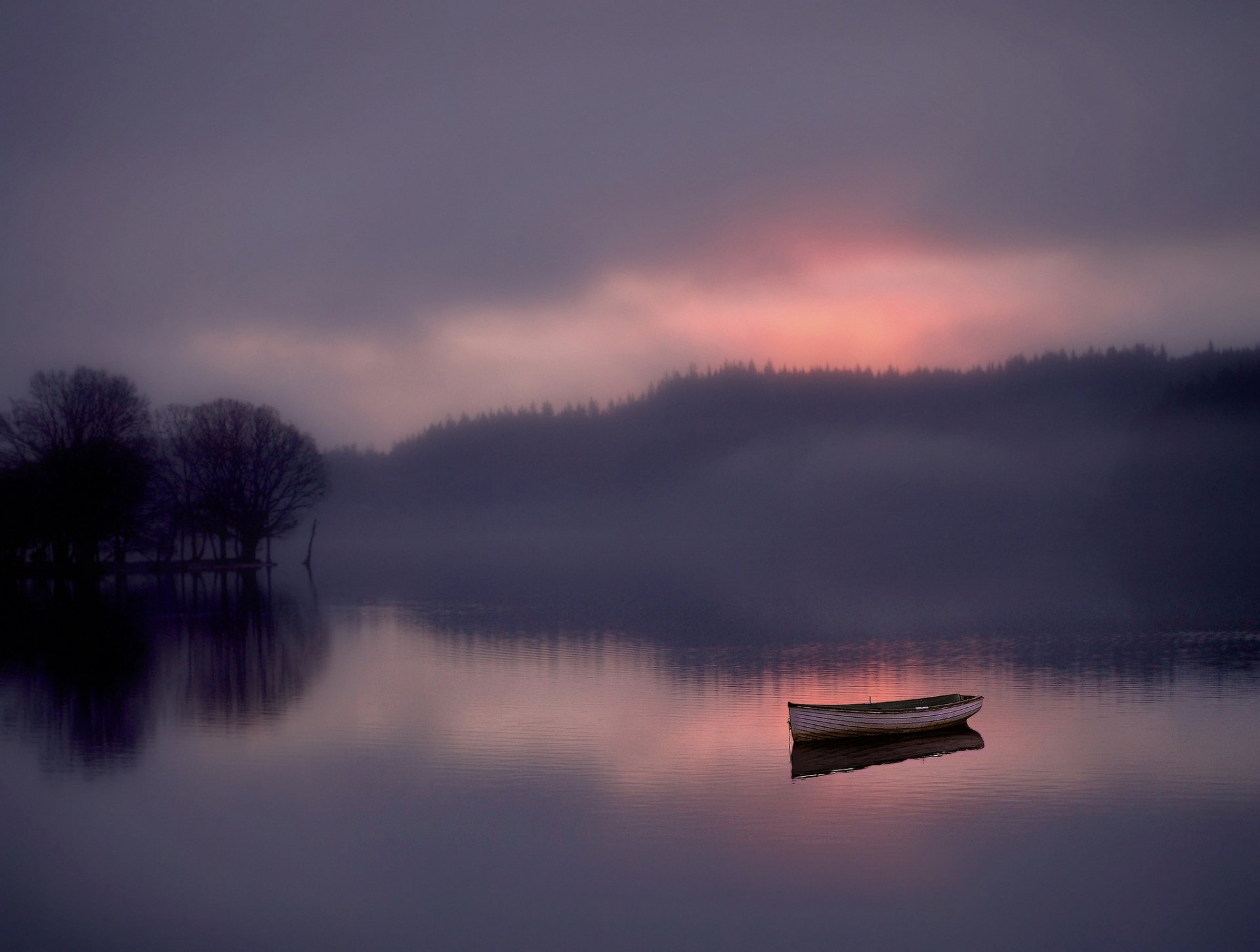 wald see boot nebel dämmerung