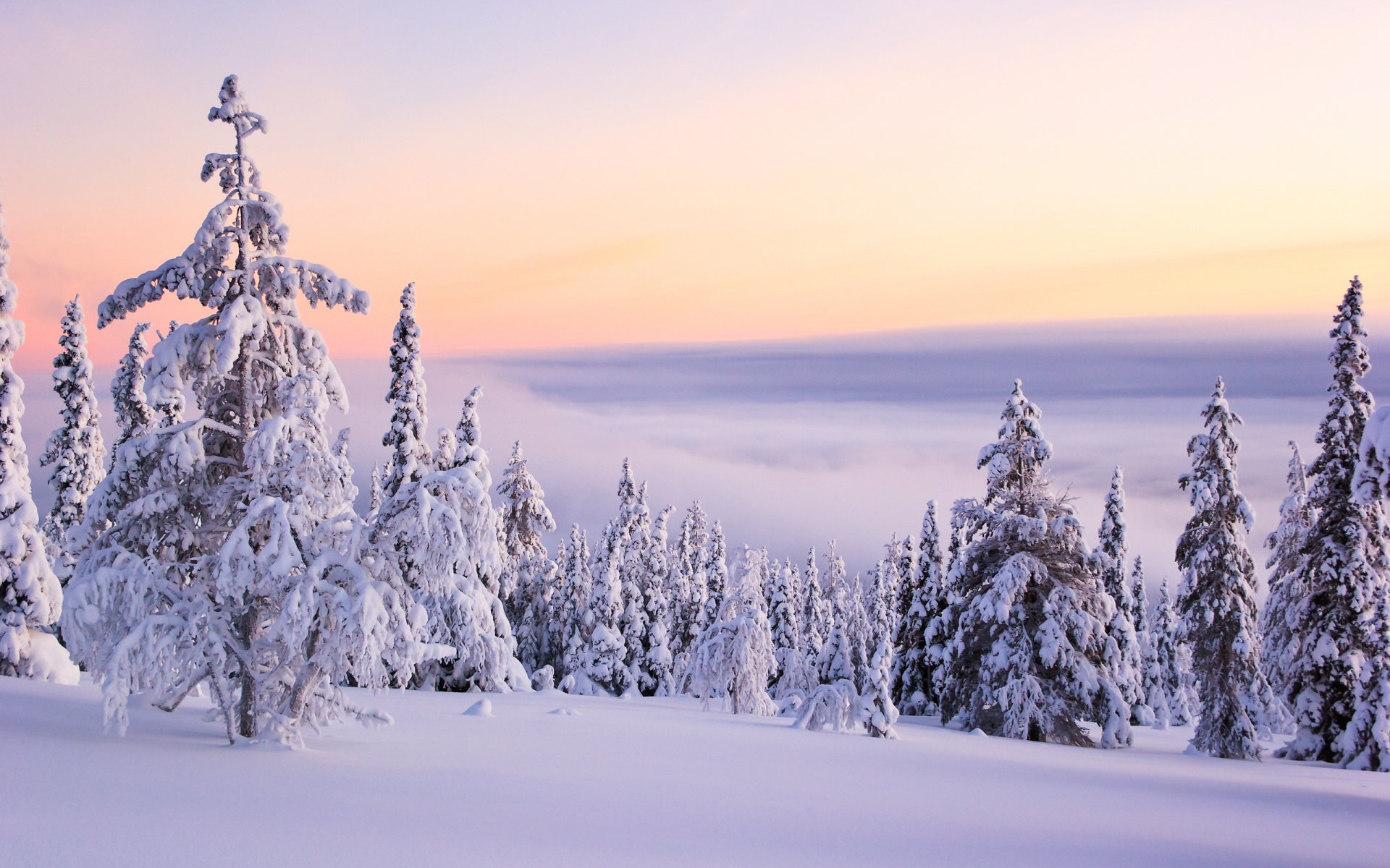 inverno neve alberi pendenza cielo nuvole