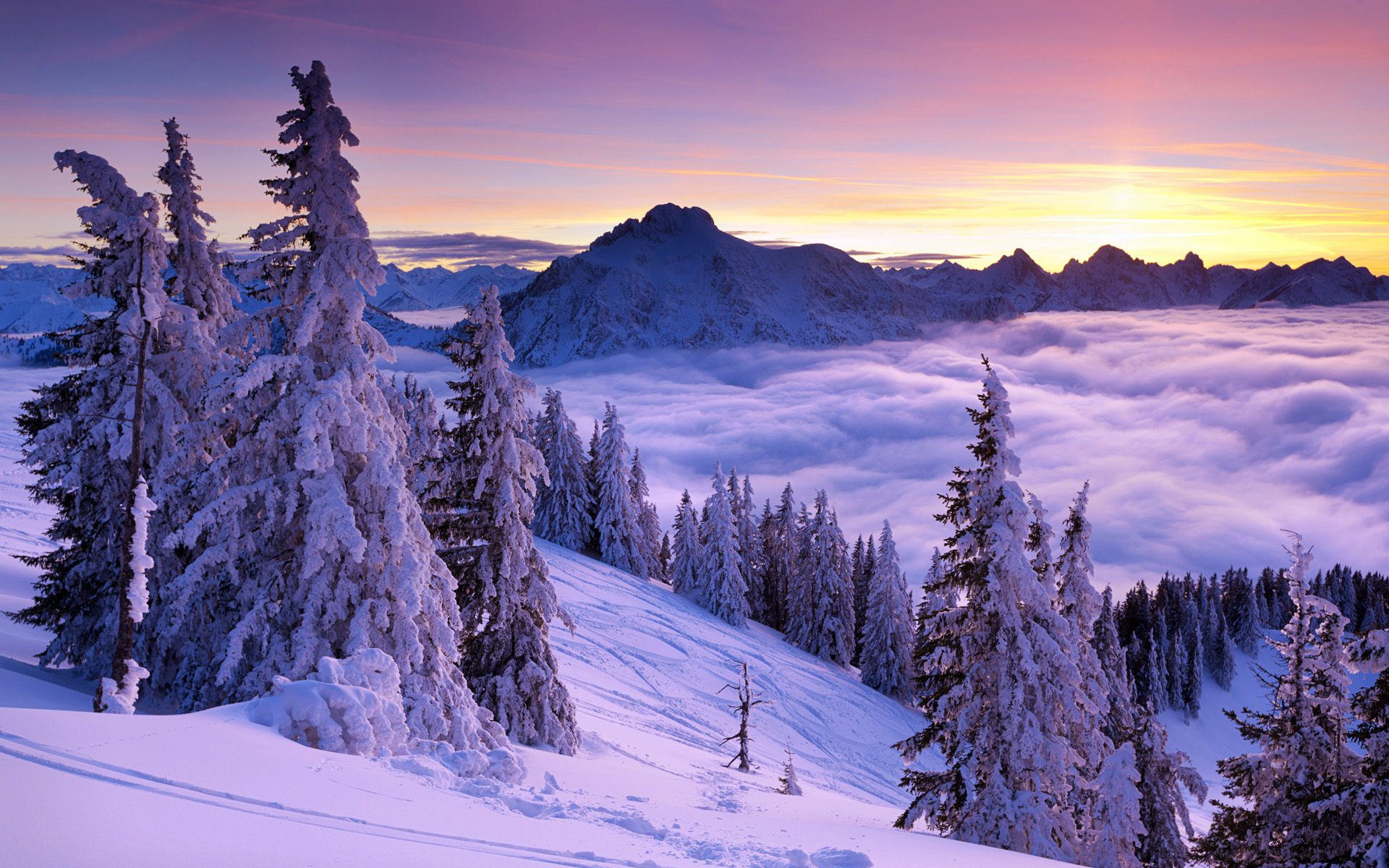 inverno montagne abeti rossi alberi neve nebbia nuvole cielo natura