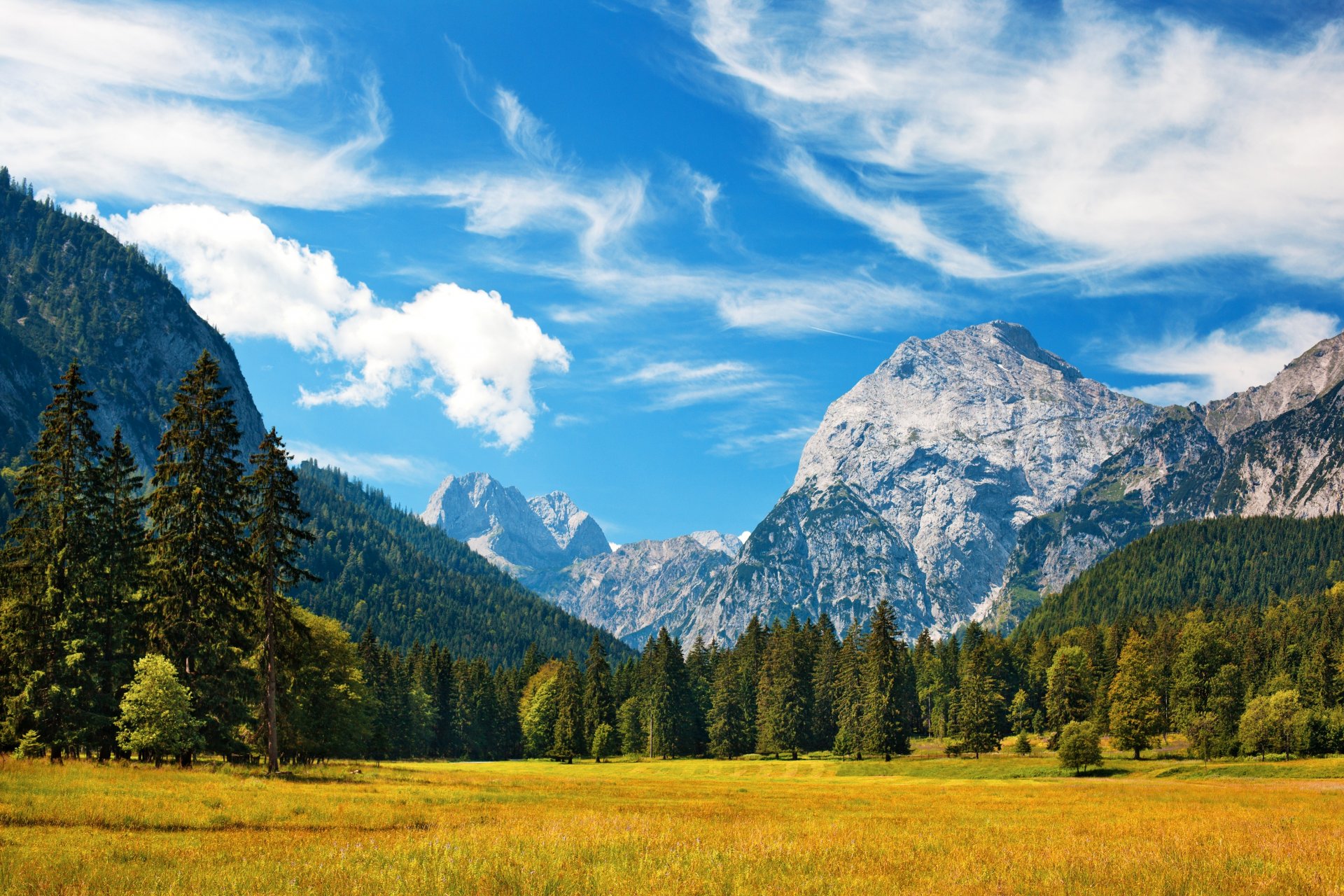 alps alpen mountains switzerland sky clouds nature grass meadow forest landscape