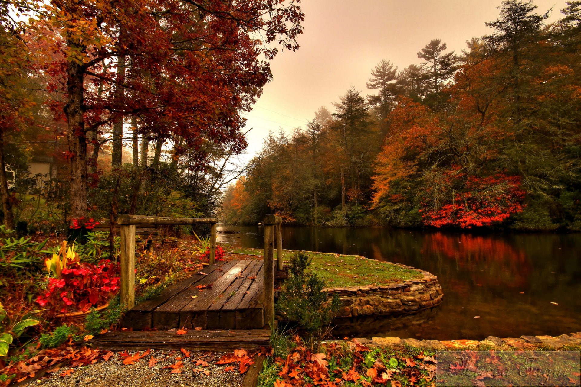 foresta fiume ponte autunno