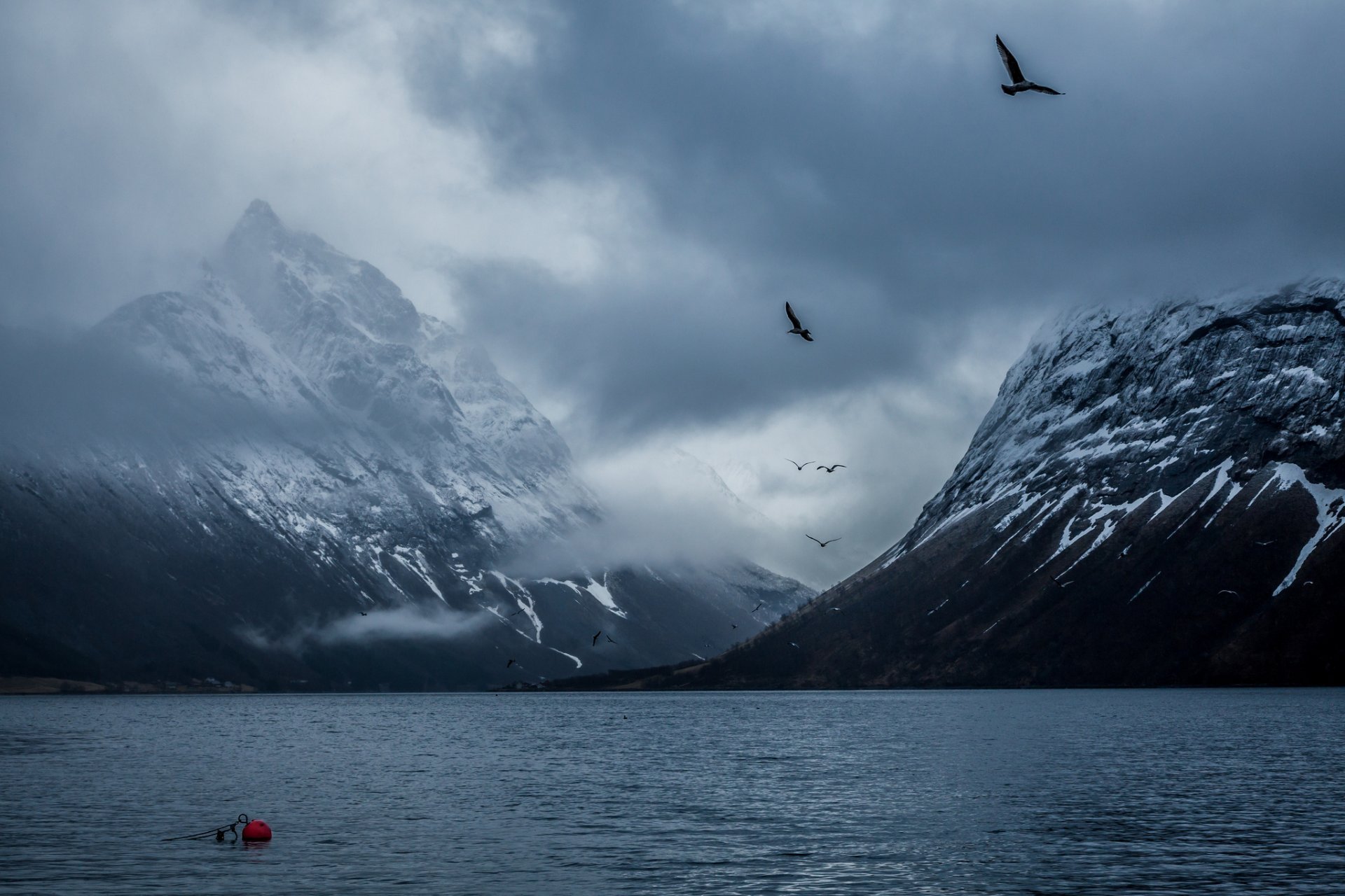 norwegen berge bucht vögel baku