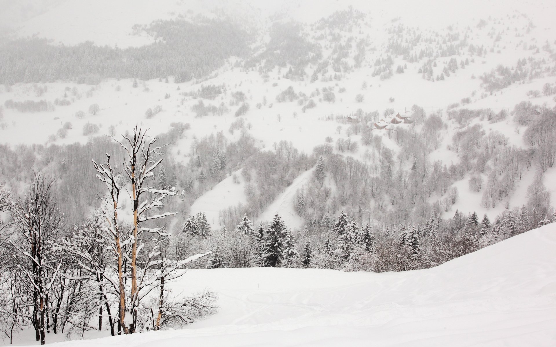 invierno nieve árboles naturaleza paisaje