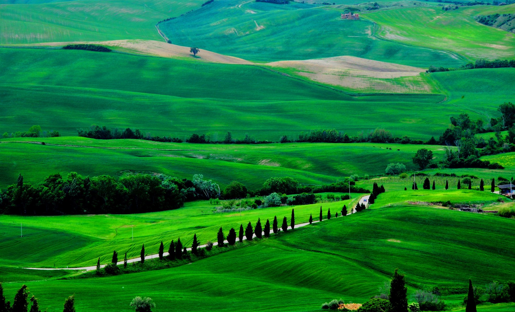 italia toscana campos camino árboles