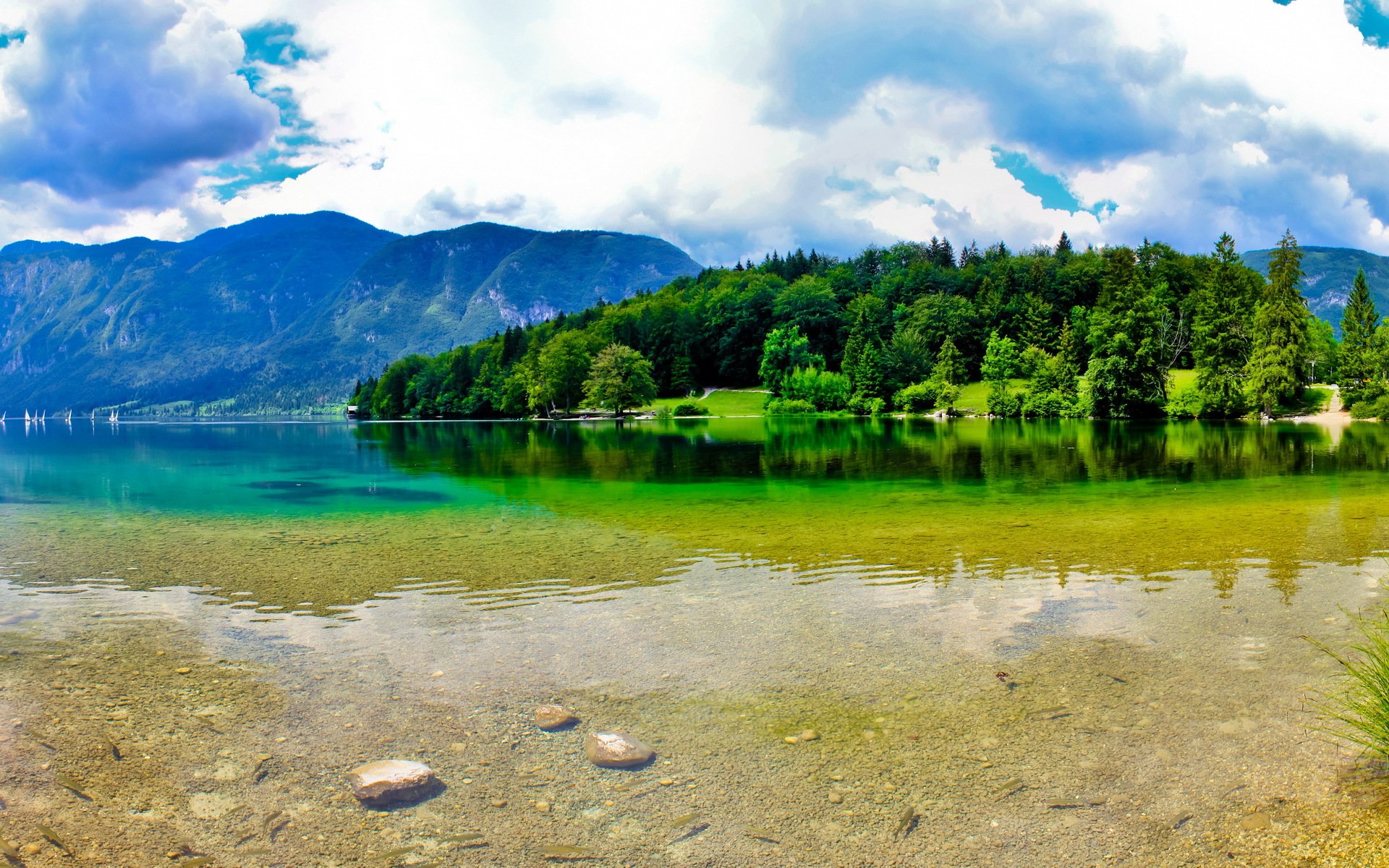 slovenia montagne natura estate fiume