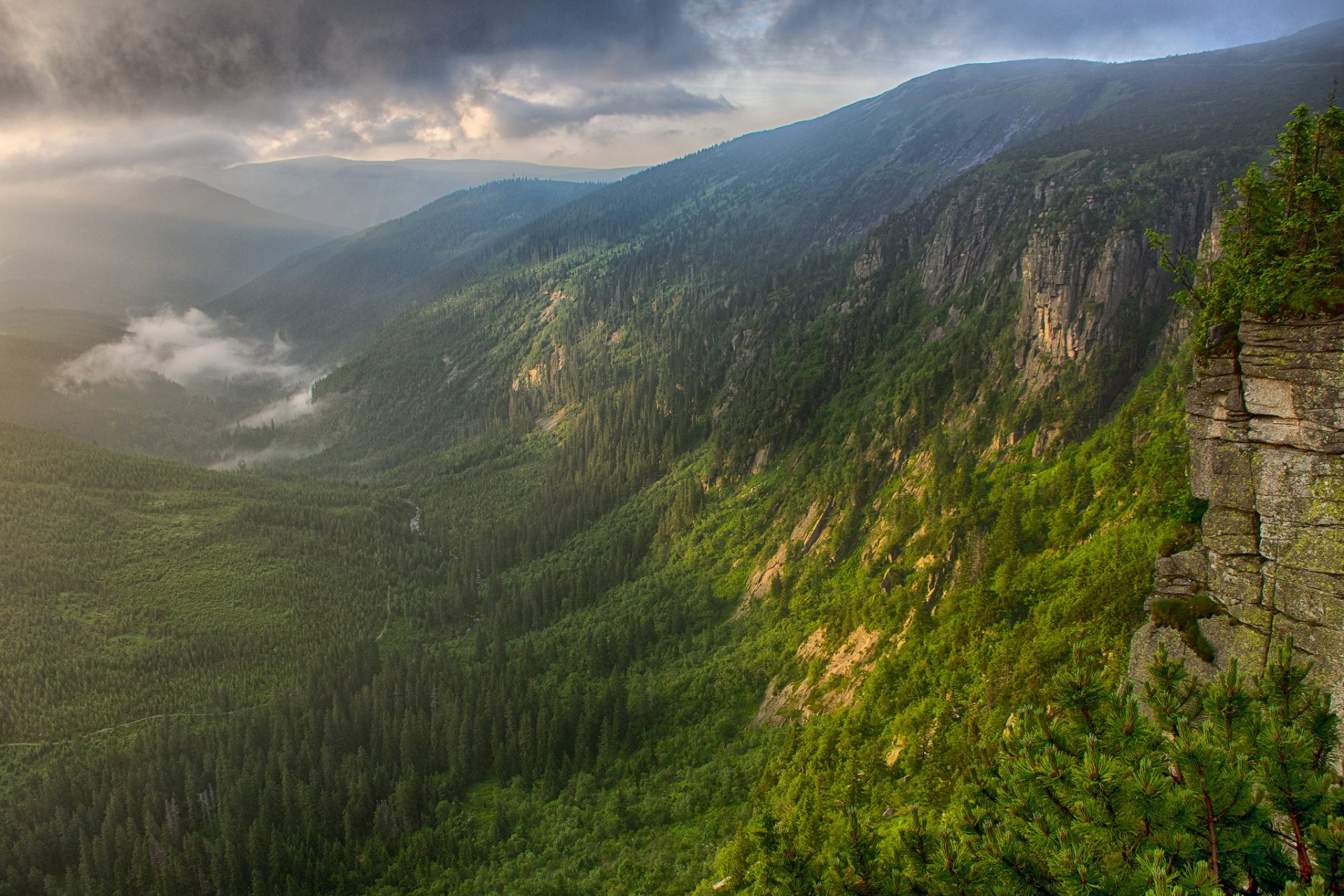 montagnes forêt vallée rivière brouillard matin